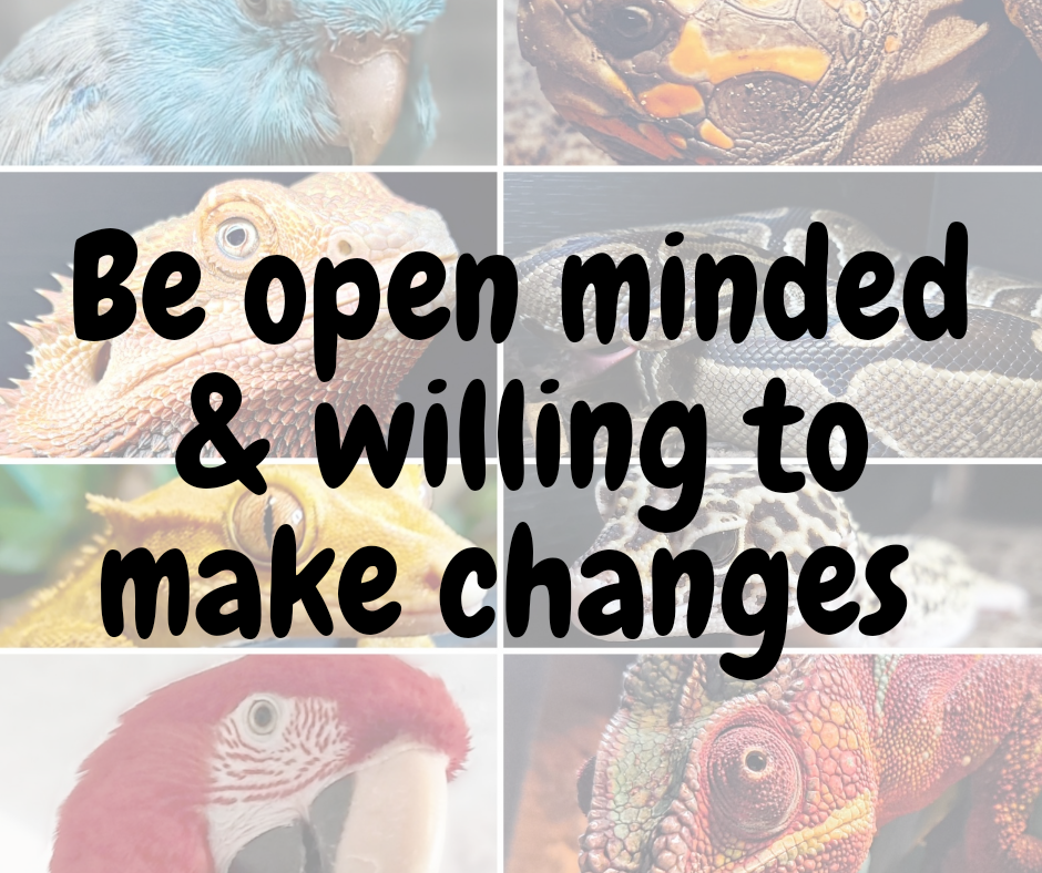 Be open minded & willing to make changes. 
