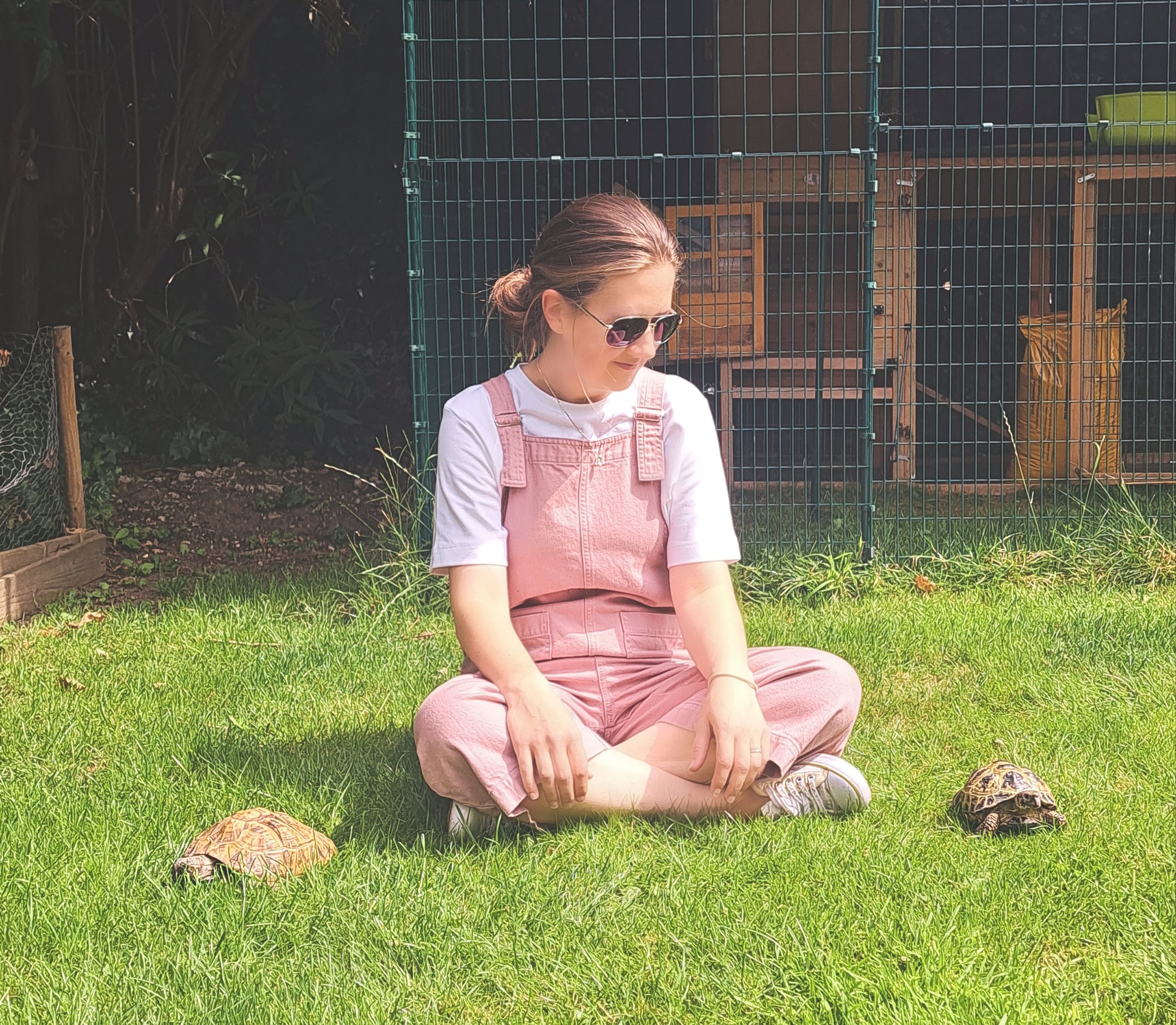 Enrichment - where does the need for stimulation actually stem from? 