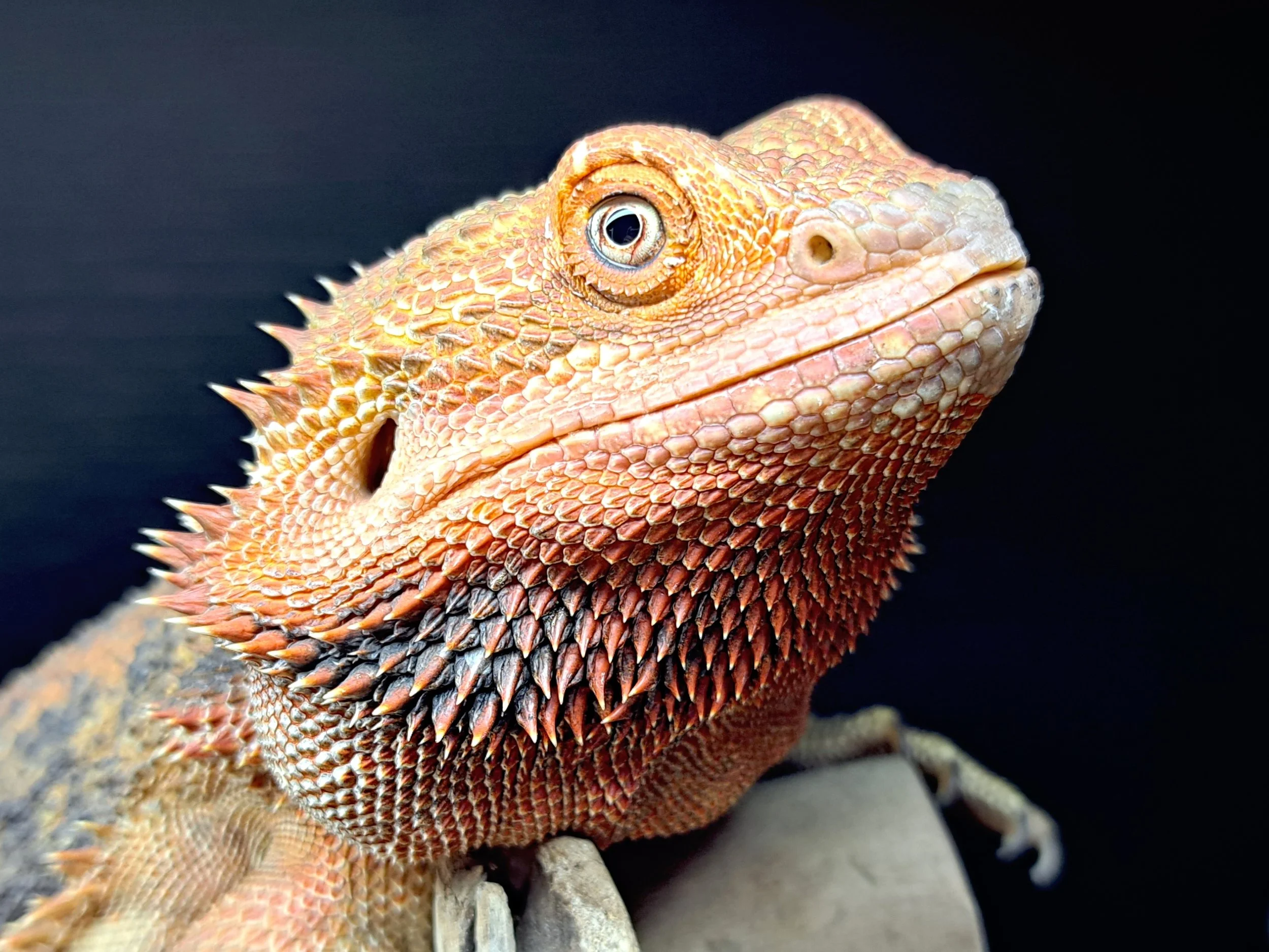 Something no one talks about - Prevention 