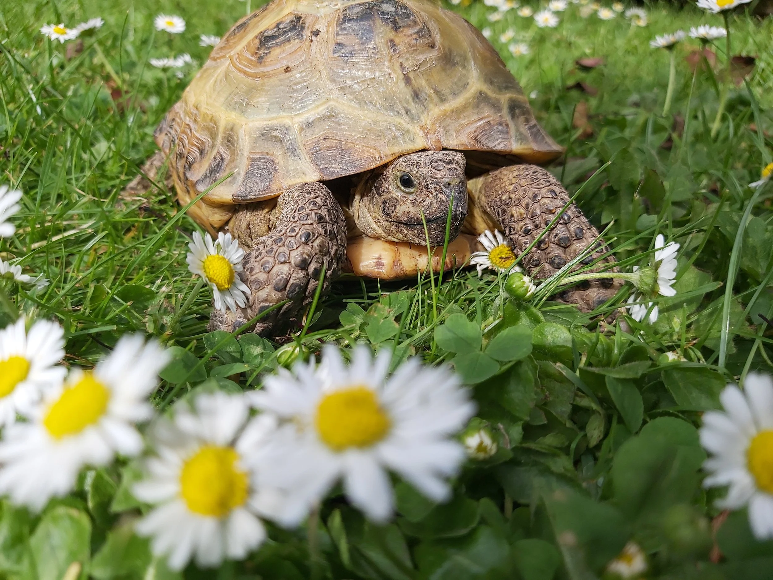 Everybody Does This…..