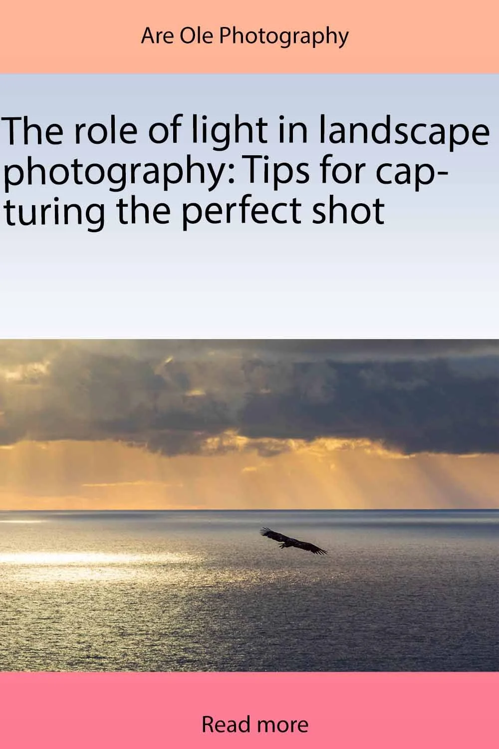 The role of light in landscape photography Tips for capturing the