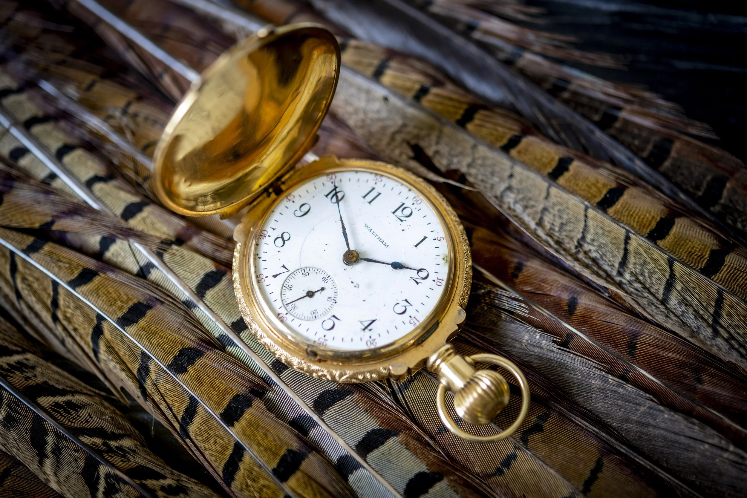 SATURDAY 20 JUNE
FINE JEWELLERY, WATCHES & OPULENT OBJECTS
A WALTHAM 14K GOLD CASED FULL-HUNTER POCKET WATCH
ESTIMATE: £1200-£1400