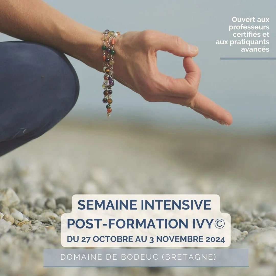 𝐃𝐞́𝐜𝐨𝐮𝐯𝐫𝐞𝐳 𝐥𝐚 𝐩𝐮𝐢𝐬𝐬𝐚𝐧𝐜𝐞 𝐝𝐞𝐬 𝟏𝟐 𝐒𝐚𝐥𝐮𝐭𝐚𝐭𝐢𝐨𝐧𝐬 𝐈𝐕𝐘 🌟

Le yoga est bien plus qu'une simple pratique physique. Il vous guide &agrave; travers le corps, les &eacute;motions et l'&eacute;nergie, jusqu'&agrave; une v&ea