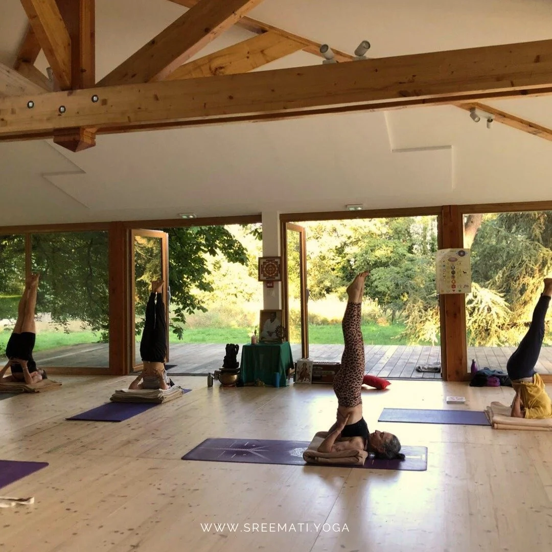 𝐕𝐨𝐮𝐬 𝐫𝐞̂𝐯𝐞𝐳 𝐝'𝐮𝐧𝐞 𝐩𝐚𝐮𝐬𝐞 𝐛𝐢𝐞𝐧 𝐦𝐞́𝐫𝐢𝐭𝐞́𝐞, 𝐥𝐨𝐢𝐧 𝐝𝐮 𝐭𝐮𝐦𝐮𝐥𝐭𝐞 𝐪𝐮𝐨𝐭𝐢𝐝𝐢𝐞𝐧, 𝐝𝐚𝐧𝐬 𝐮𝐧 𝐥𝐢𝐞𝐮 𝐨𝐮̀ 𝐧𝐚𝐭𝐮𝐫𝐞 𝐞𝐭 𝐛𝐢𝐞𝐧-𝐞̂𝐭𝐫𝐞 𝐧𝐞 𝐟𝐨𝐧𝐭 𝐪𝐮&rsquo;𝐮𝐧 ? 🌿✨

Plongez dans une exp&eacute;r