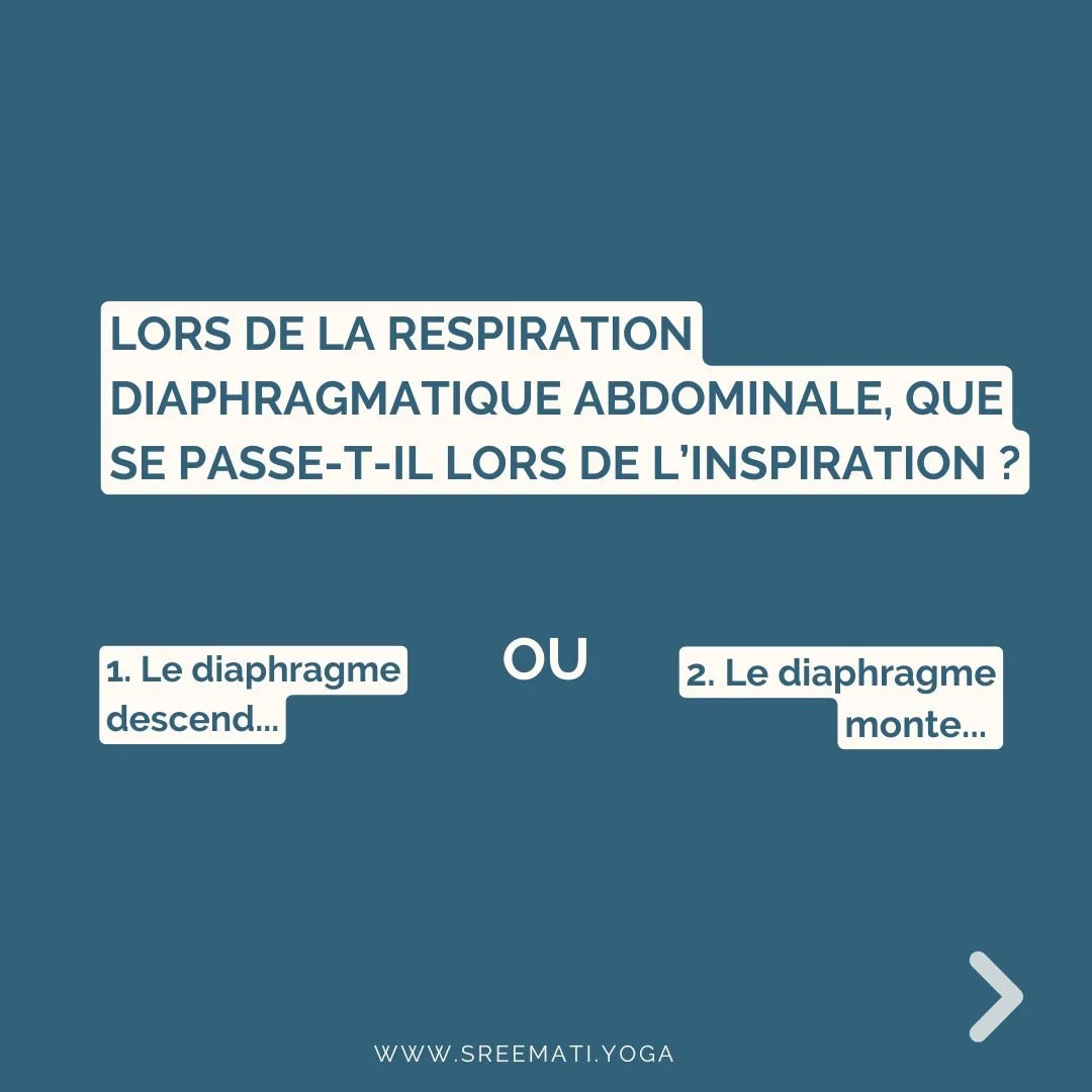 Lorsque vous inspirez profond&eacute;ment, votre ventre se gonfle, mais qu'en est-il de votre diaphragme ?

Le diaphragme c'est le ma&icirc;tre silencieux de votre respiration, un pont entre le corps et l&rsquo;esprit. Il agit comme un piston subtil,