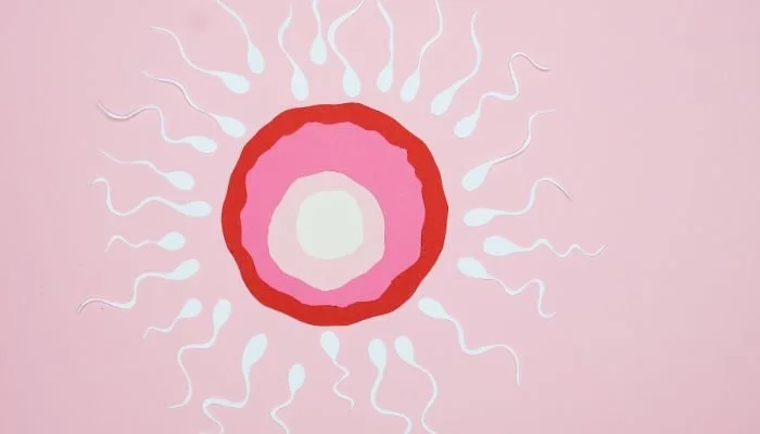 ivf treatments