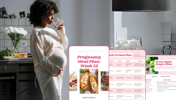 Curated visual reference: Visual Reference: Downloadable Energizing Pregnancy Meal Plan