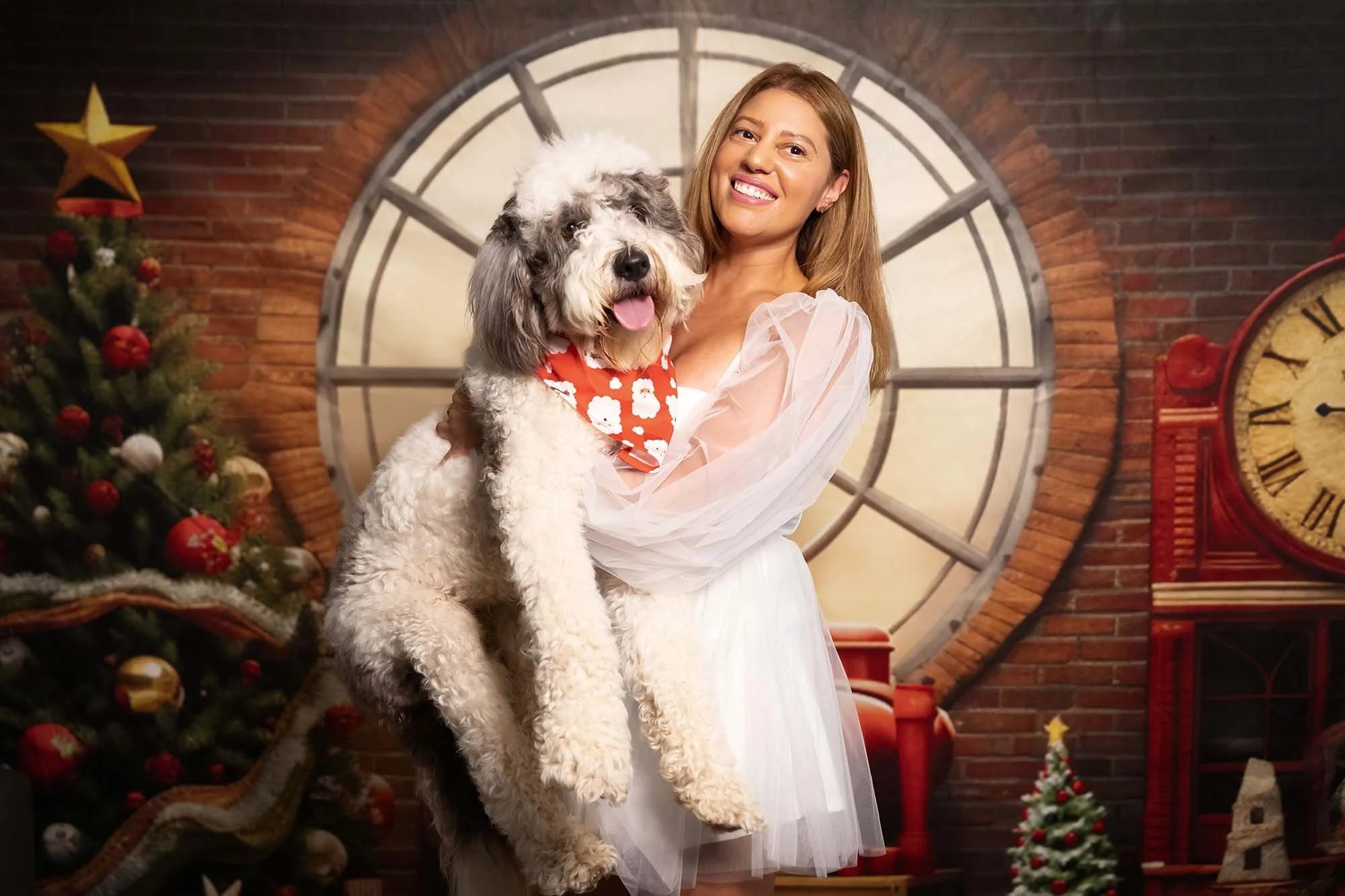 Christmas photoshoot with dog