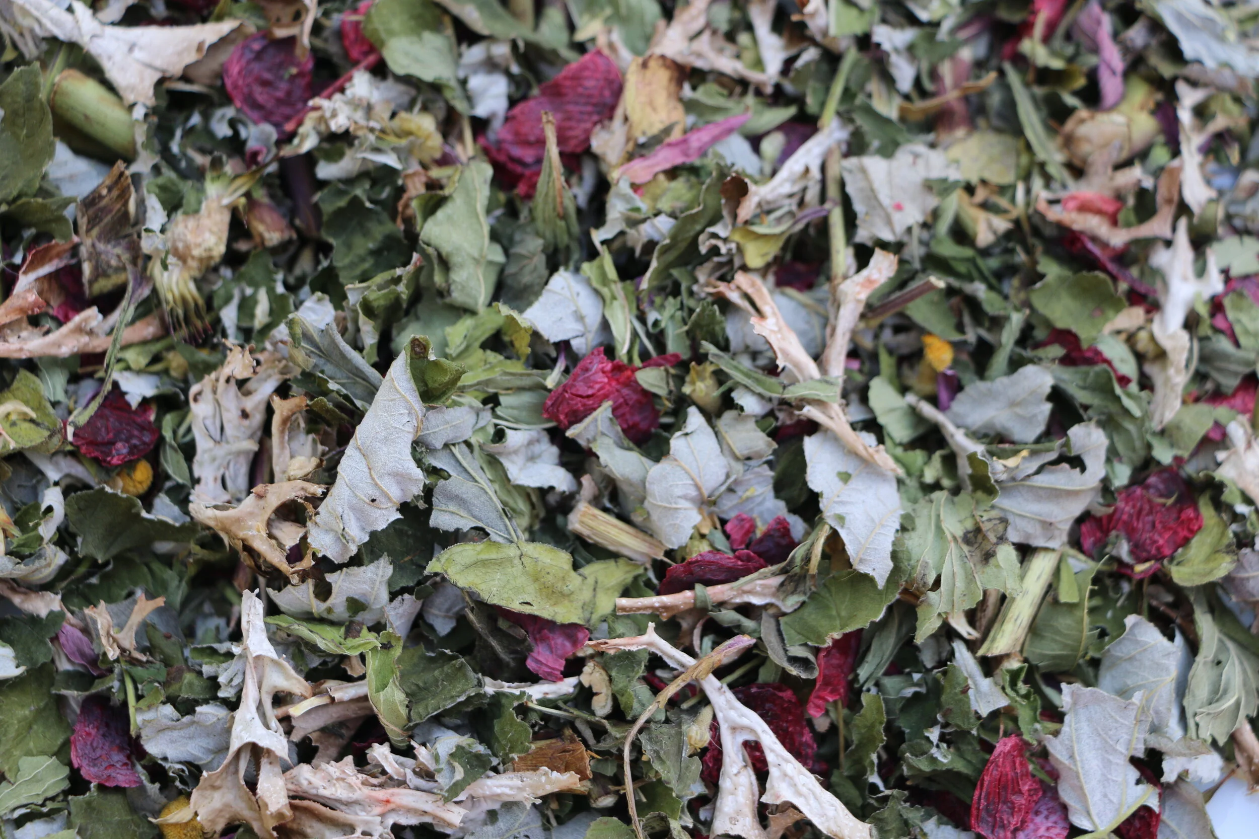 Immune Booster Tea