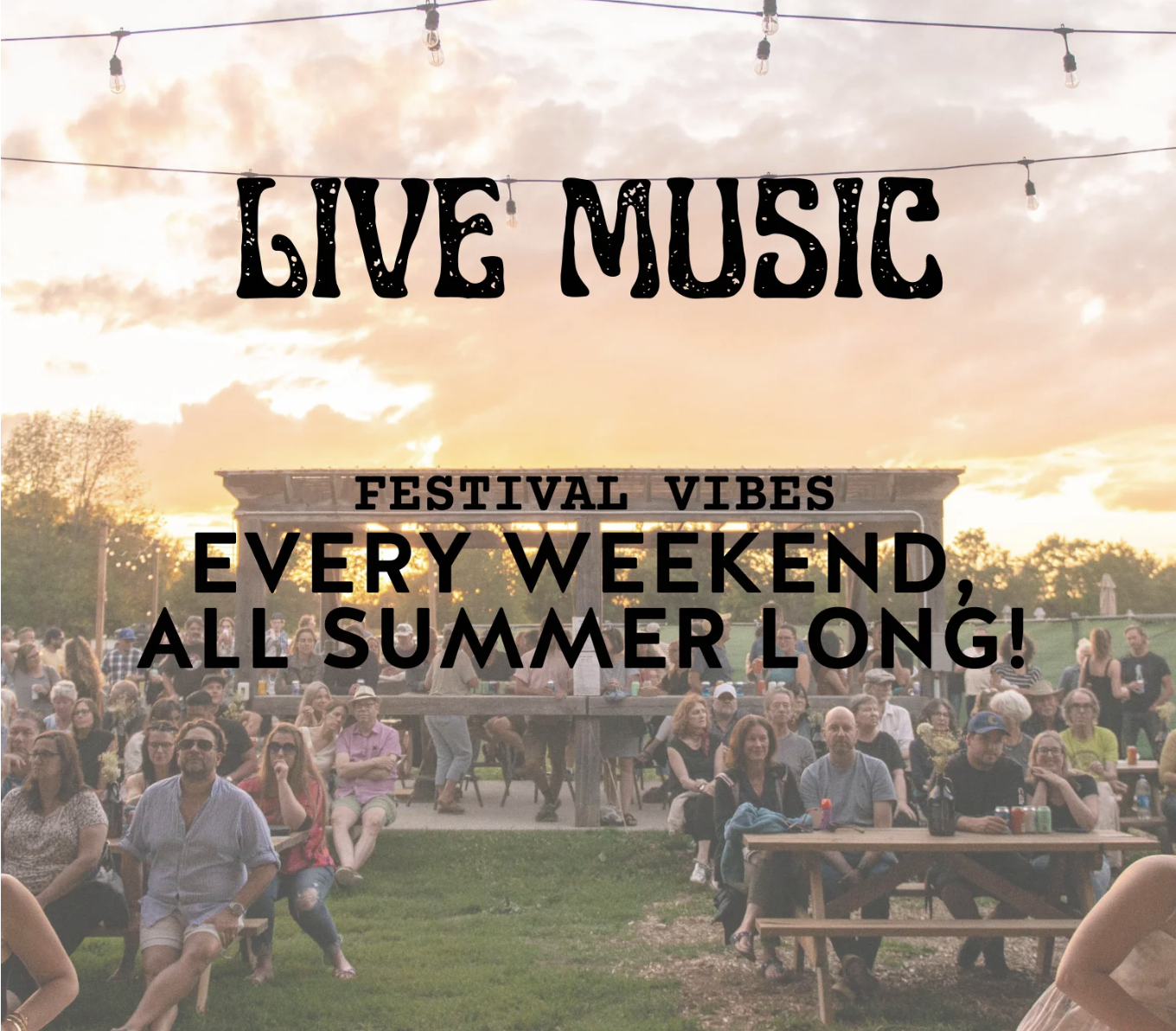 Live Music - Donny Tait