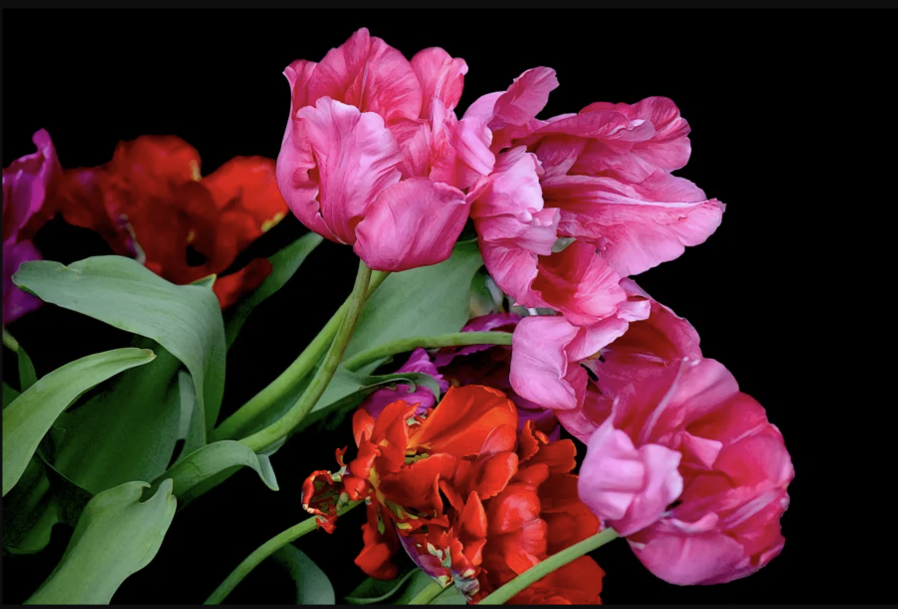 BOTANICA - Fine Art Exhibition and Sale
