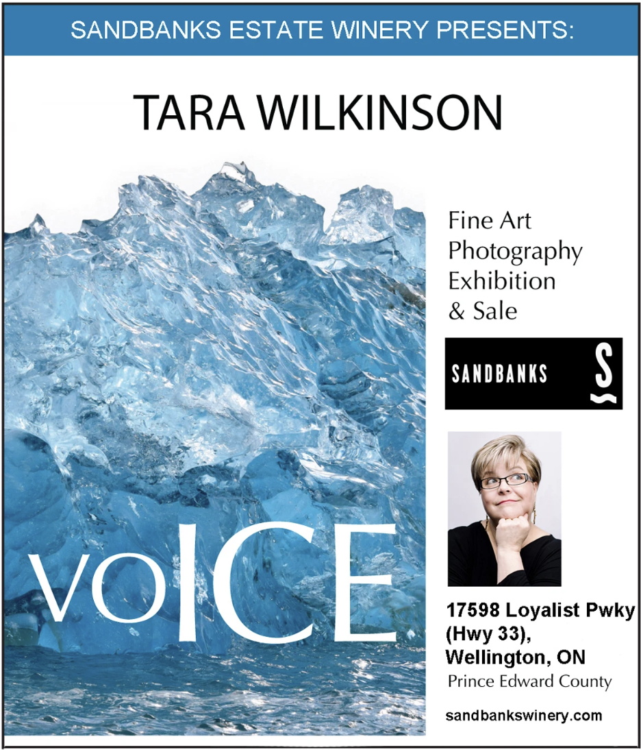 Sandbanks Estate Winery Presents: Tara Wilkinson I voICE Exhibition