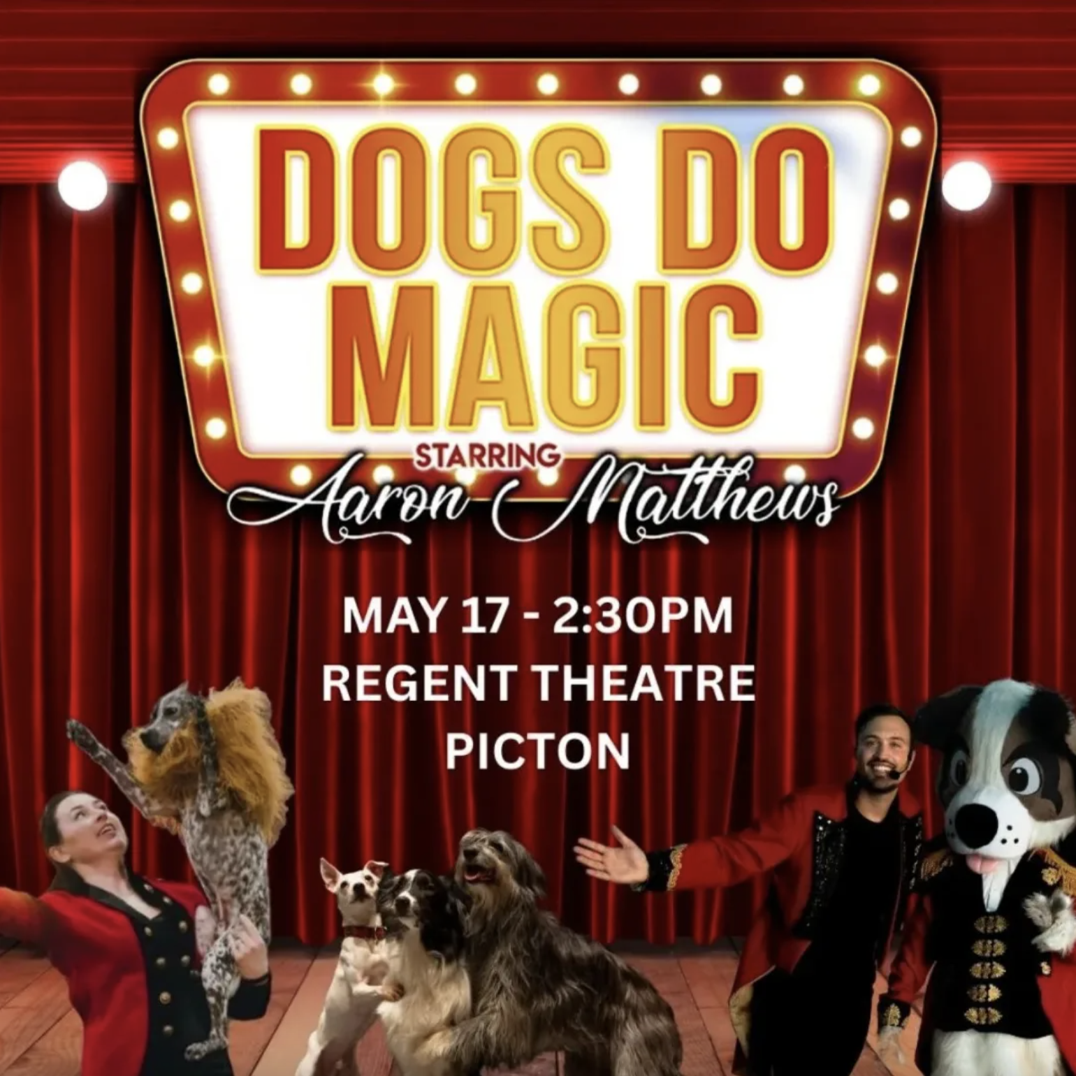 Dogs Do Magic starring Aaron Matthews