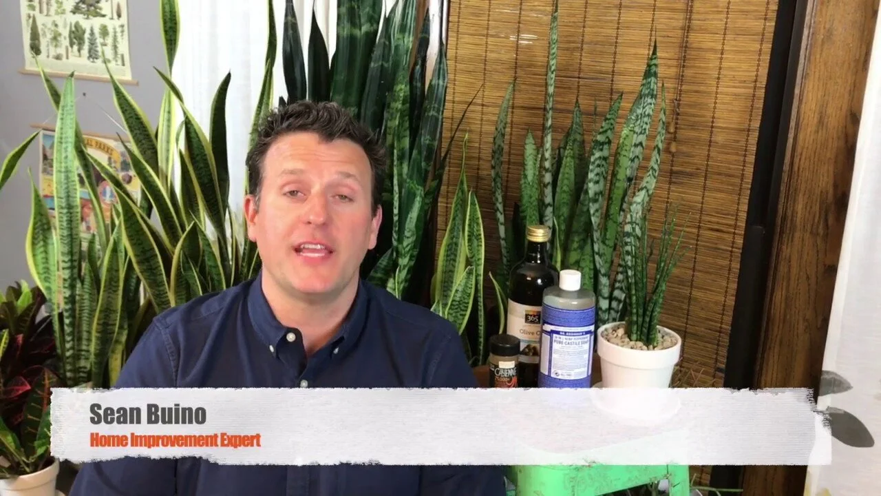 DIY Green Bug Spray for the Garden