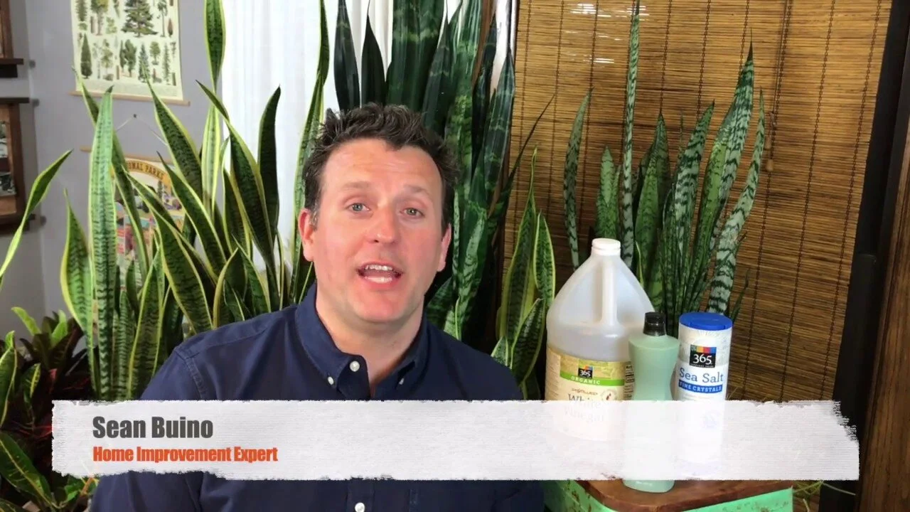 Making Your Own Eco-Friendly Weed Killer