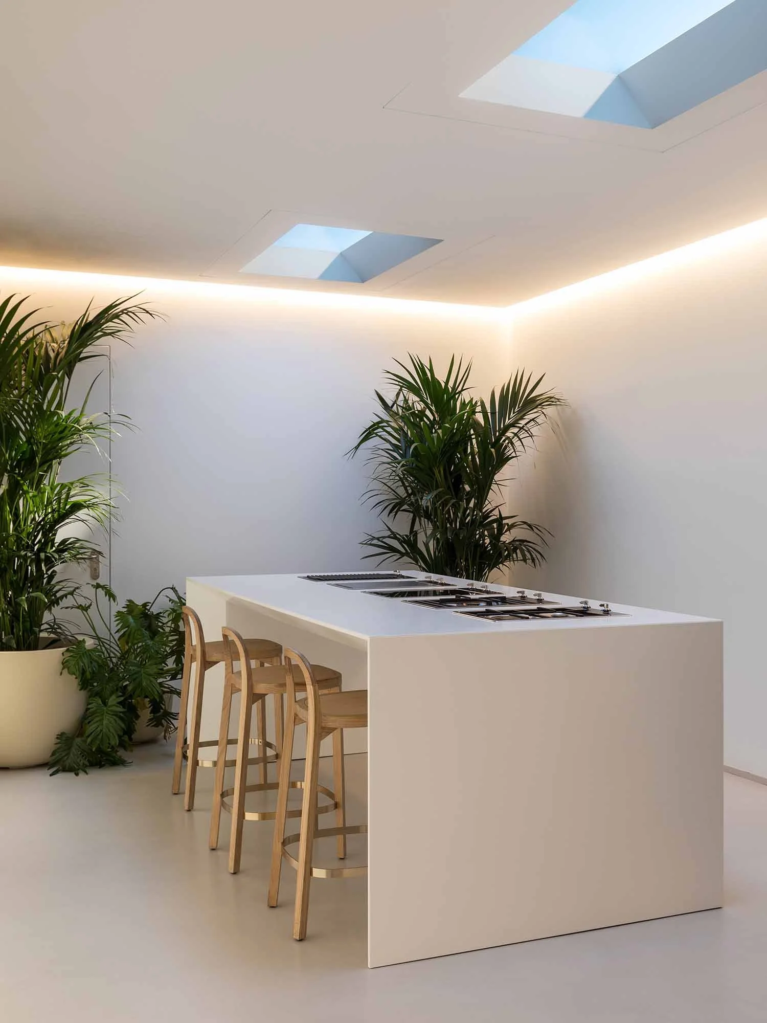 Modern kitchen with white island, four wooden bar stools, large indoor plants, and skylights in the ceiling with natural light.