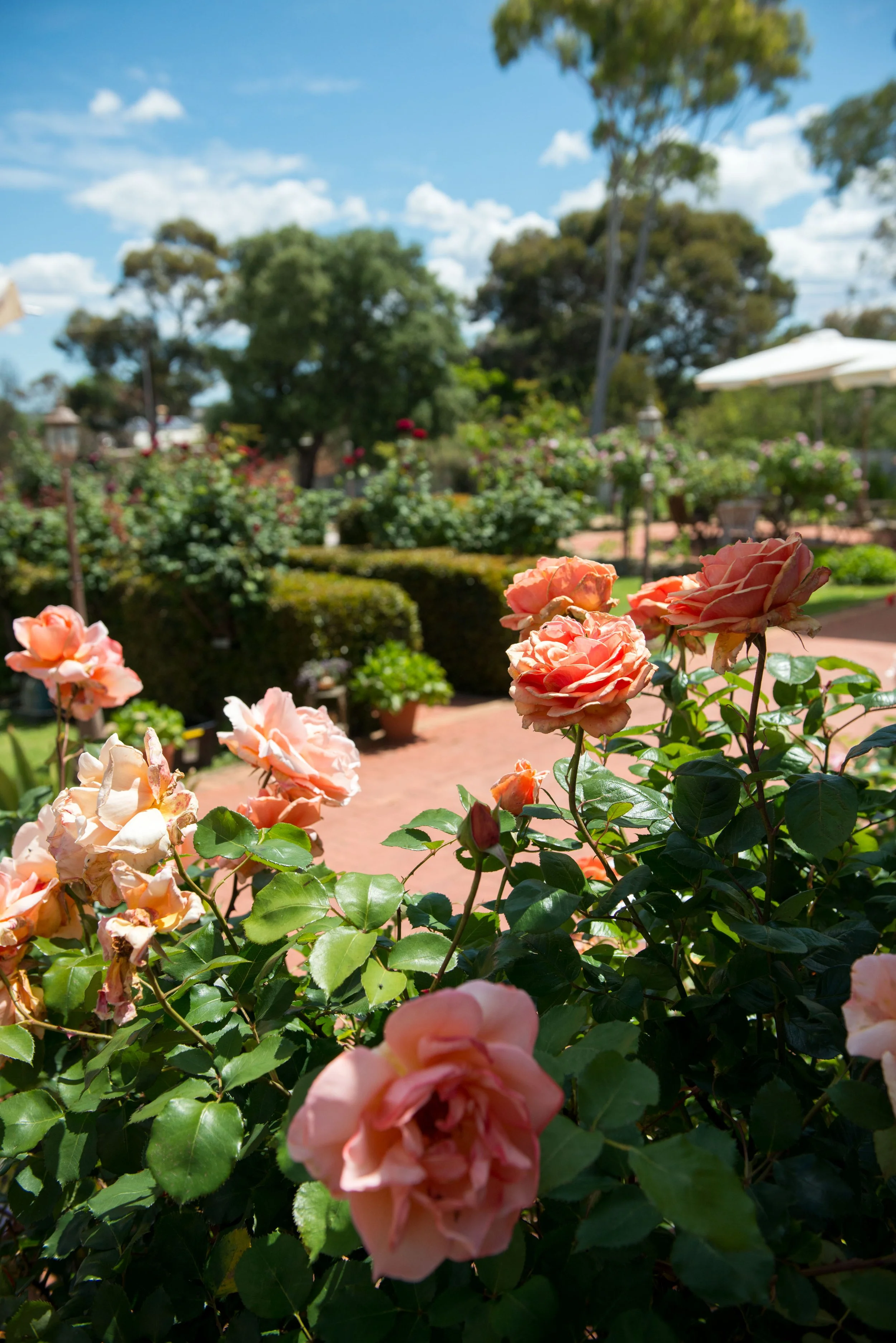 Oldham House jpeg  (16).JPG