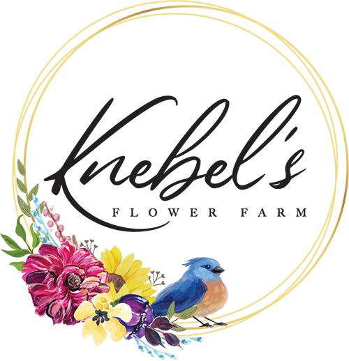 Knebel&#39;s Flower Farm