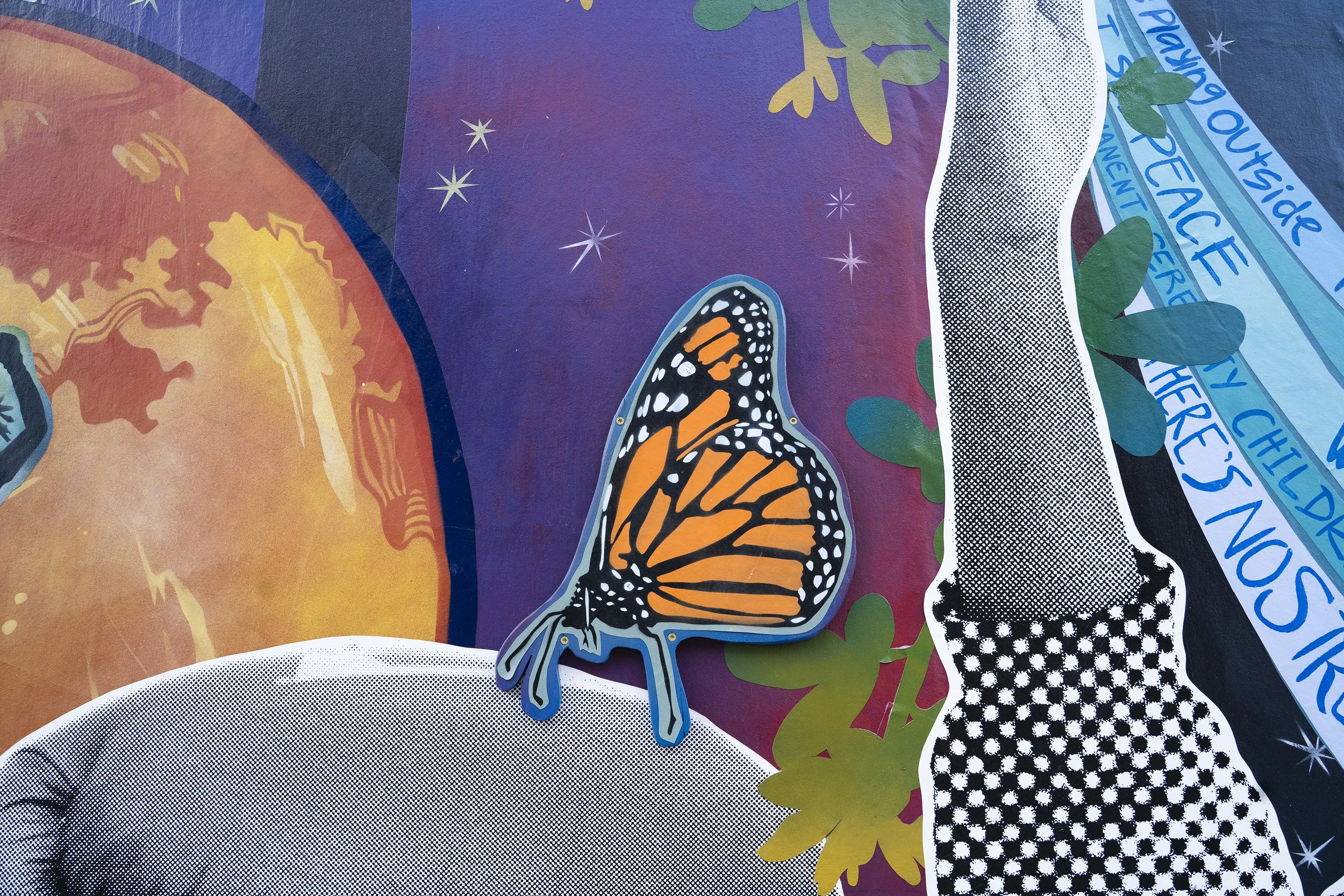 butterfly.jpg
