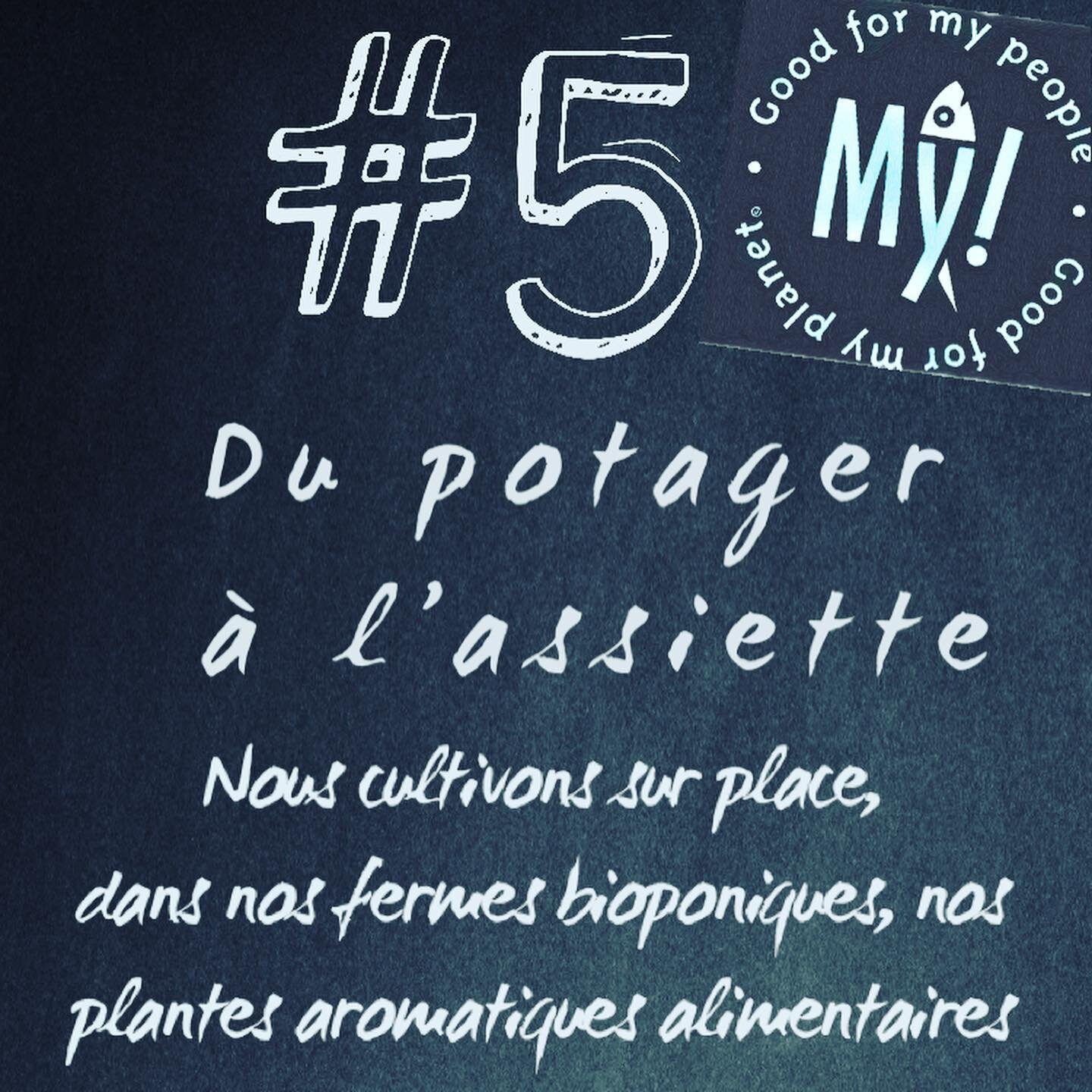 Nous cultivons sur place 👍🏻, 
dans nos fermes bioponiques🧪, nos plantes aromatiques alimentaires🌱🍀

&bull;
&bull;
&bull;
&bull;
&bull;
#green #monaco #montecarlo #plant #plants #food #foodporn #foodie #instafood #chef #organic #foodphotography #