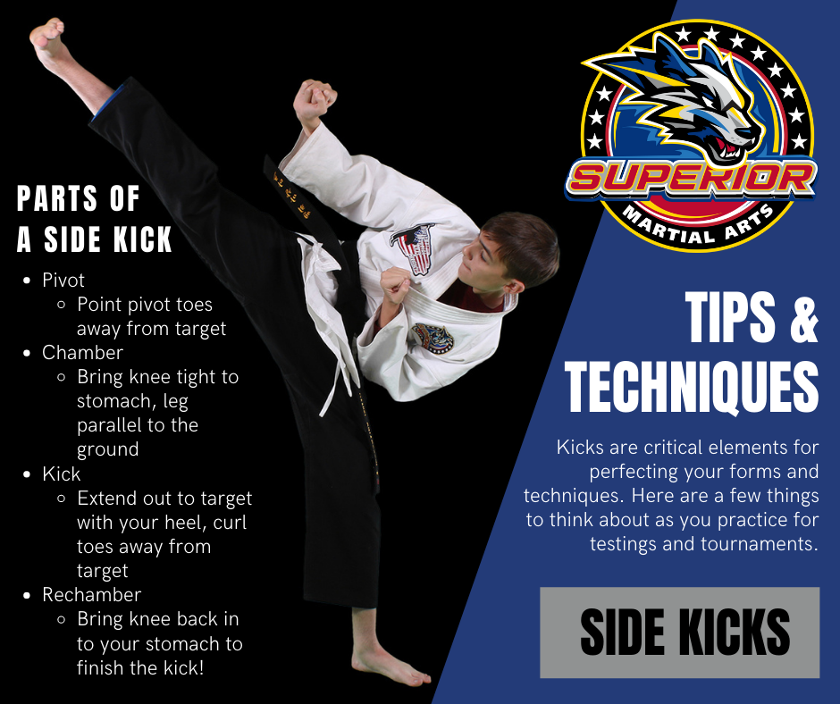 Martial Arts Instagram Post