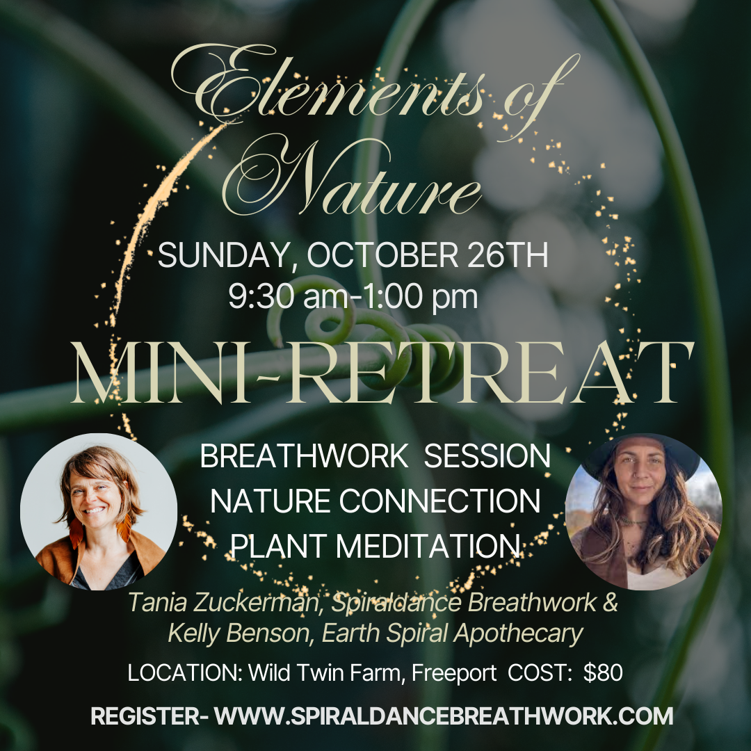 Elements of Nature: Breathwork Mini-Retreat- EARTH