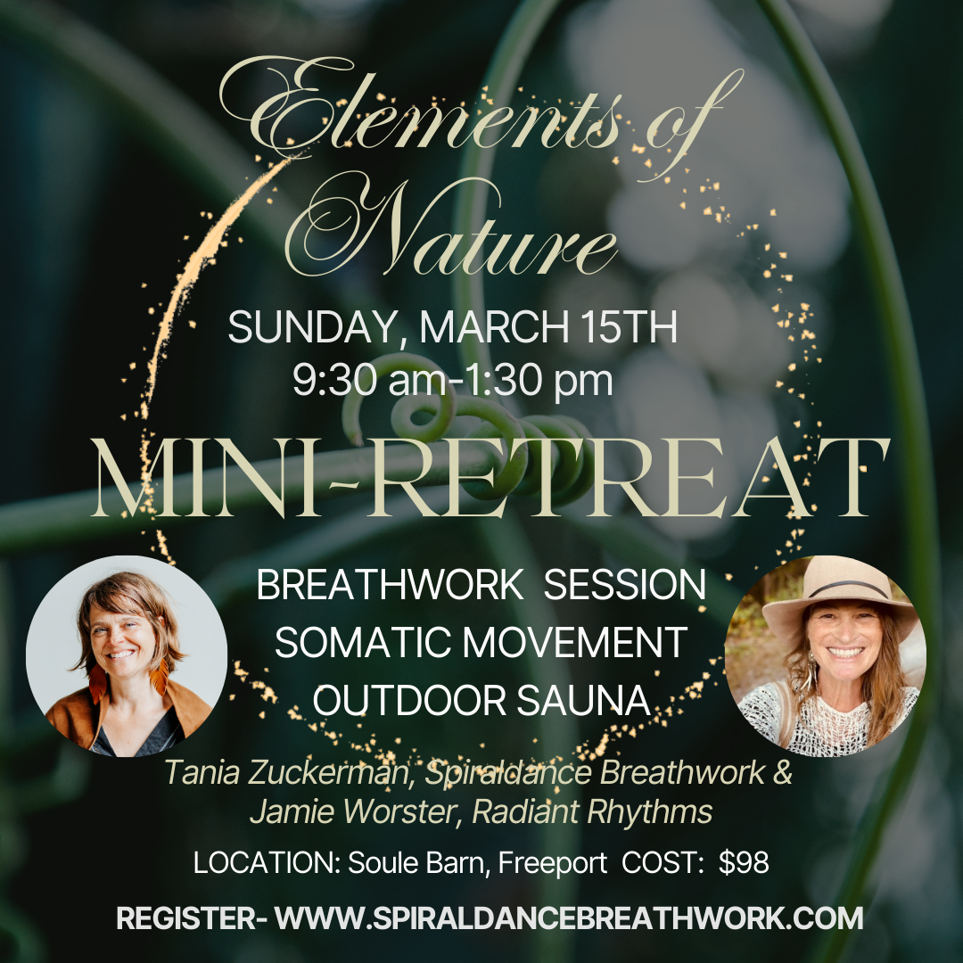 Elements of Nature: Breathwork Mini-Retreat for Late Winter- ELEMENT- Water