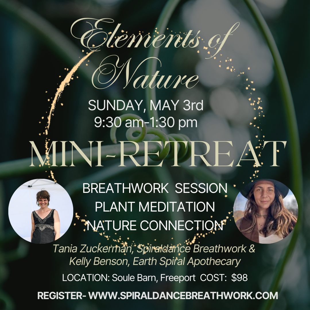 Elements of Nature Breathwork Mini-Retreat- EARTH