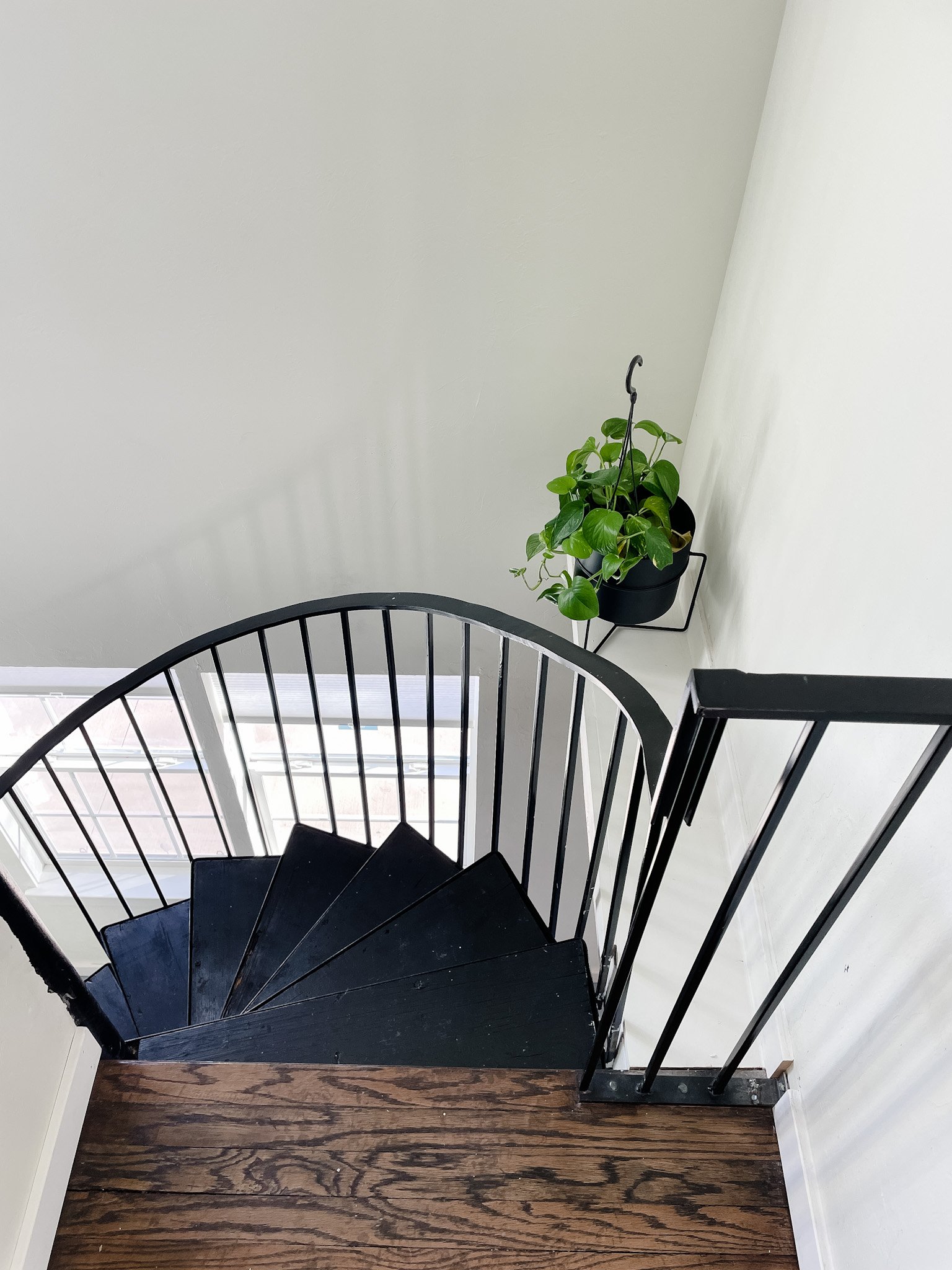 Copy of IMG_5681.JPG