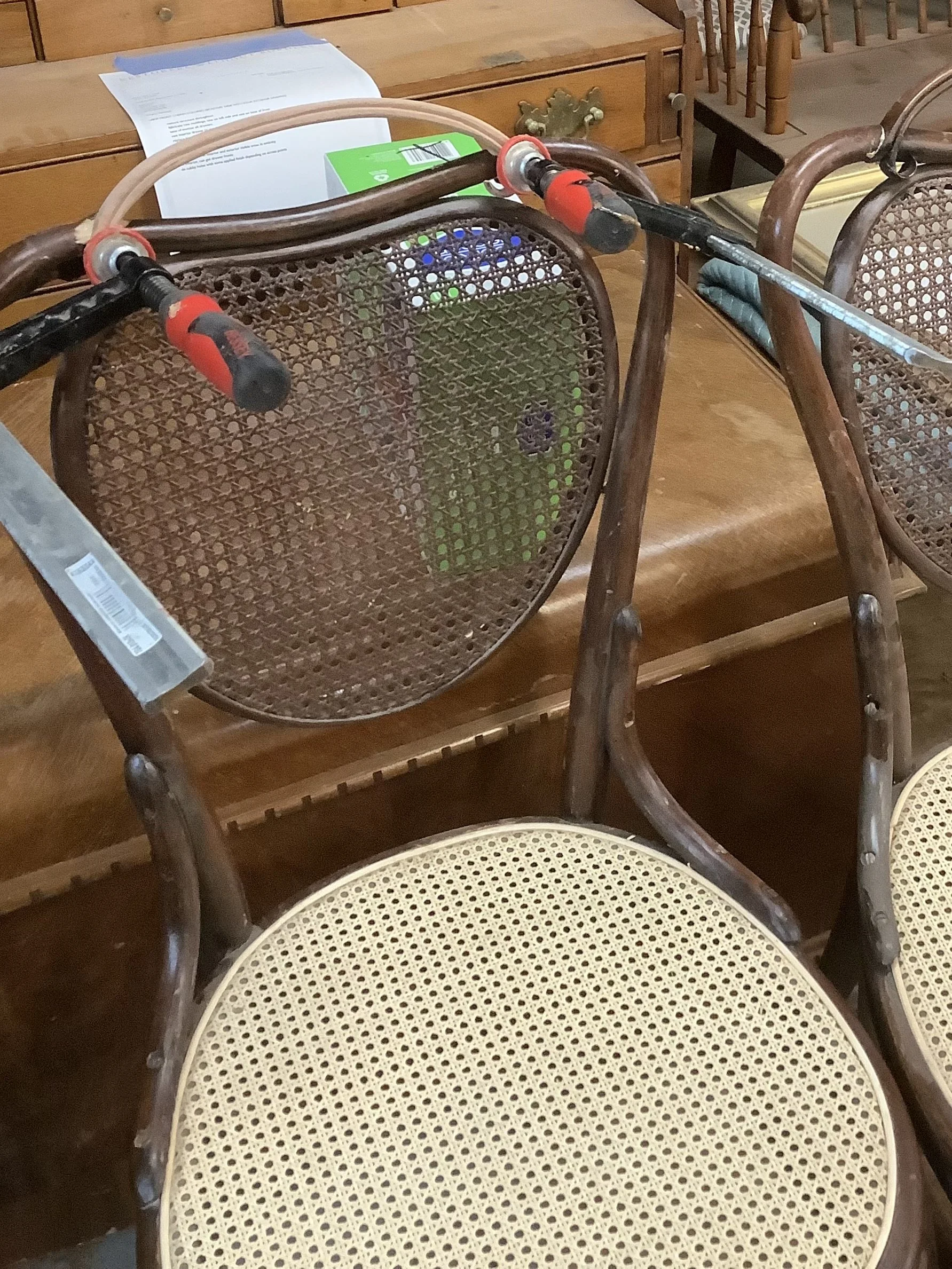 IMG_3732.jpeg