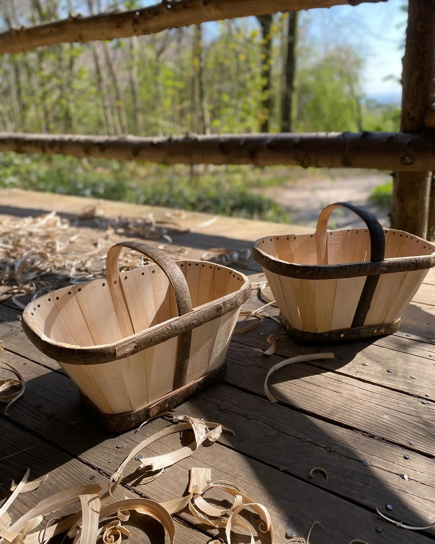 Two beautiful sunny days in the woodland classroom @sustainabilitycentre with students making a Devon Stave basket. Lovely work produced by all. Skills learnt included cleaving and shaving green wood, forming handles and rims around jigs and shaping 