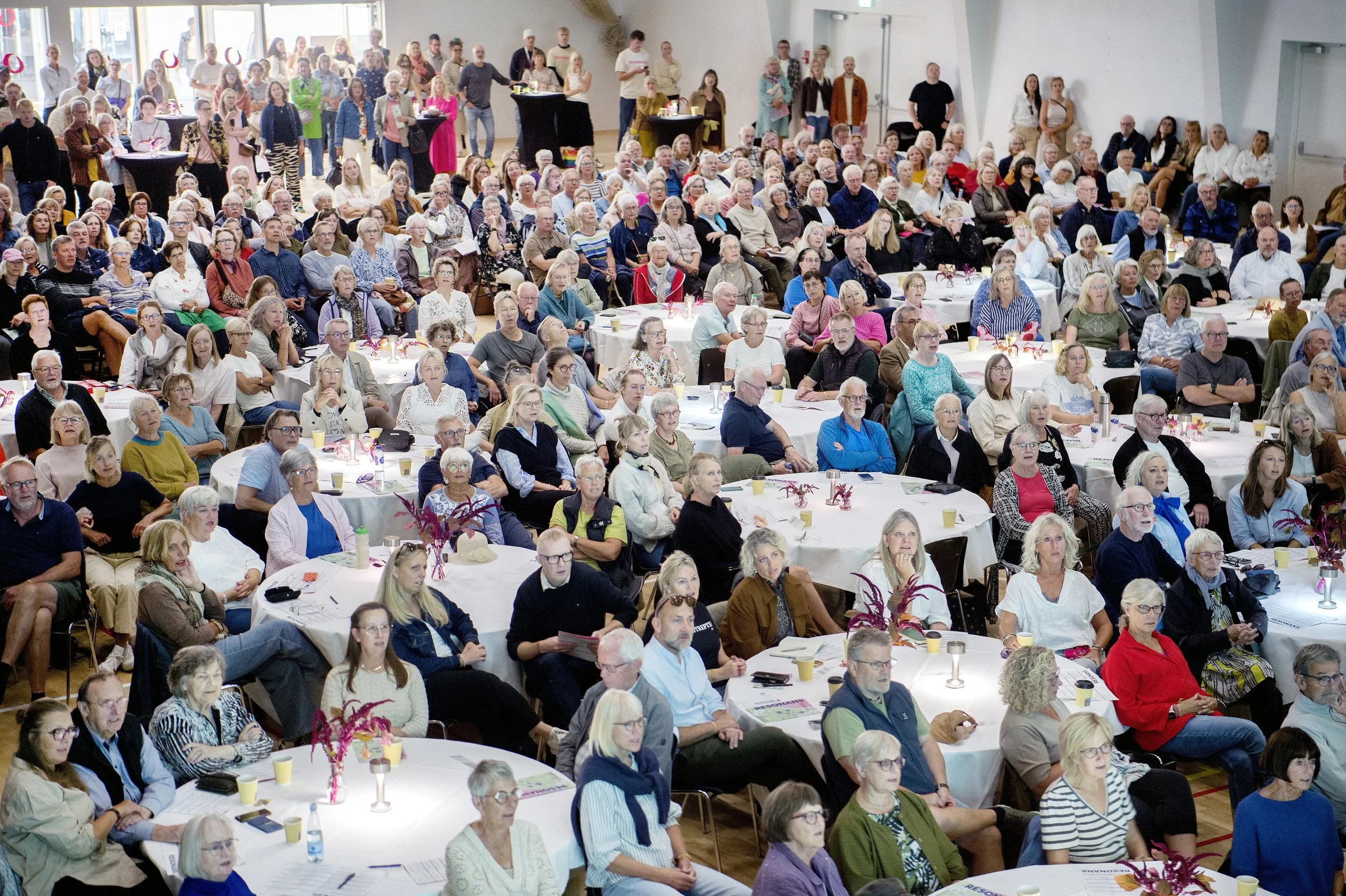 Resonans Oure 2025   33seqn}.JPG