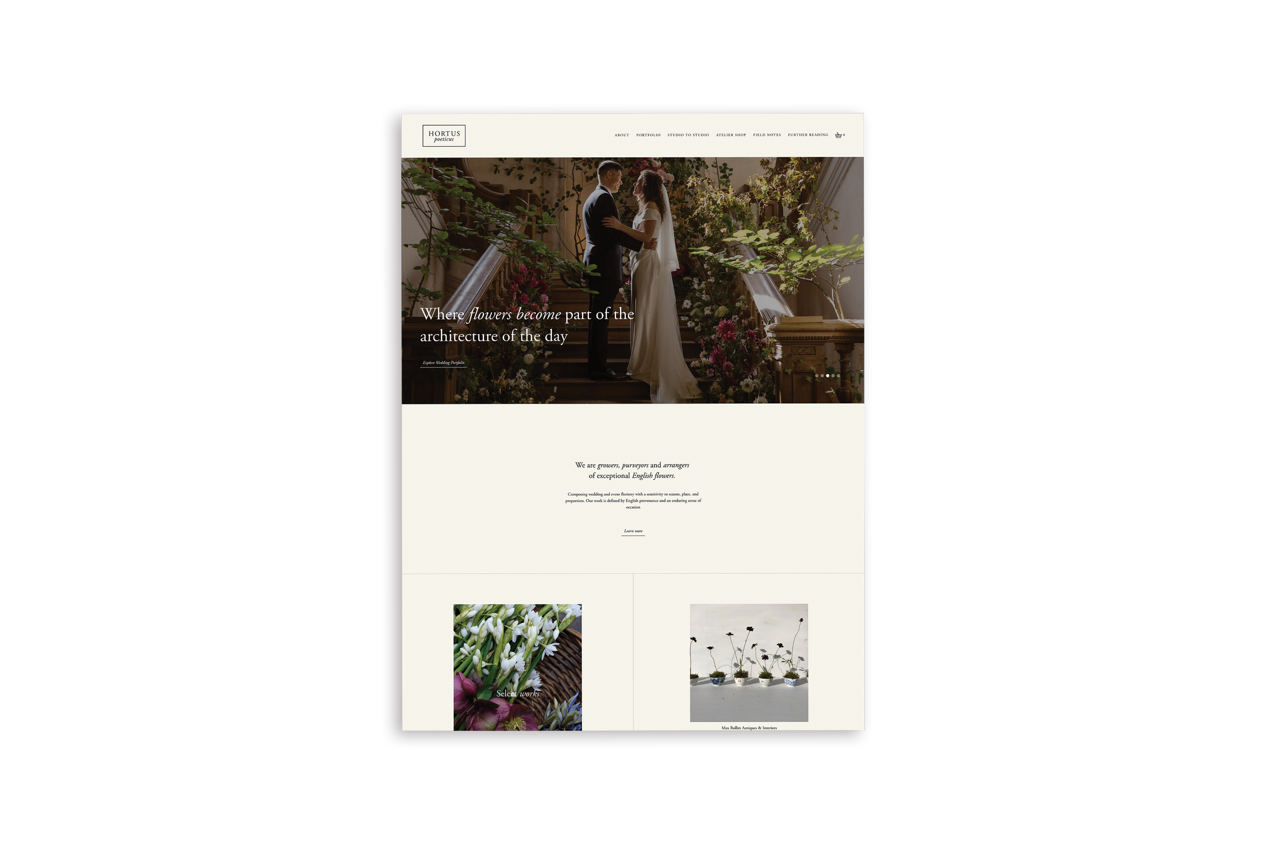 Creative moodboard defining a brand’s aesthetic direction by Avelã Creative.