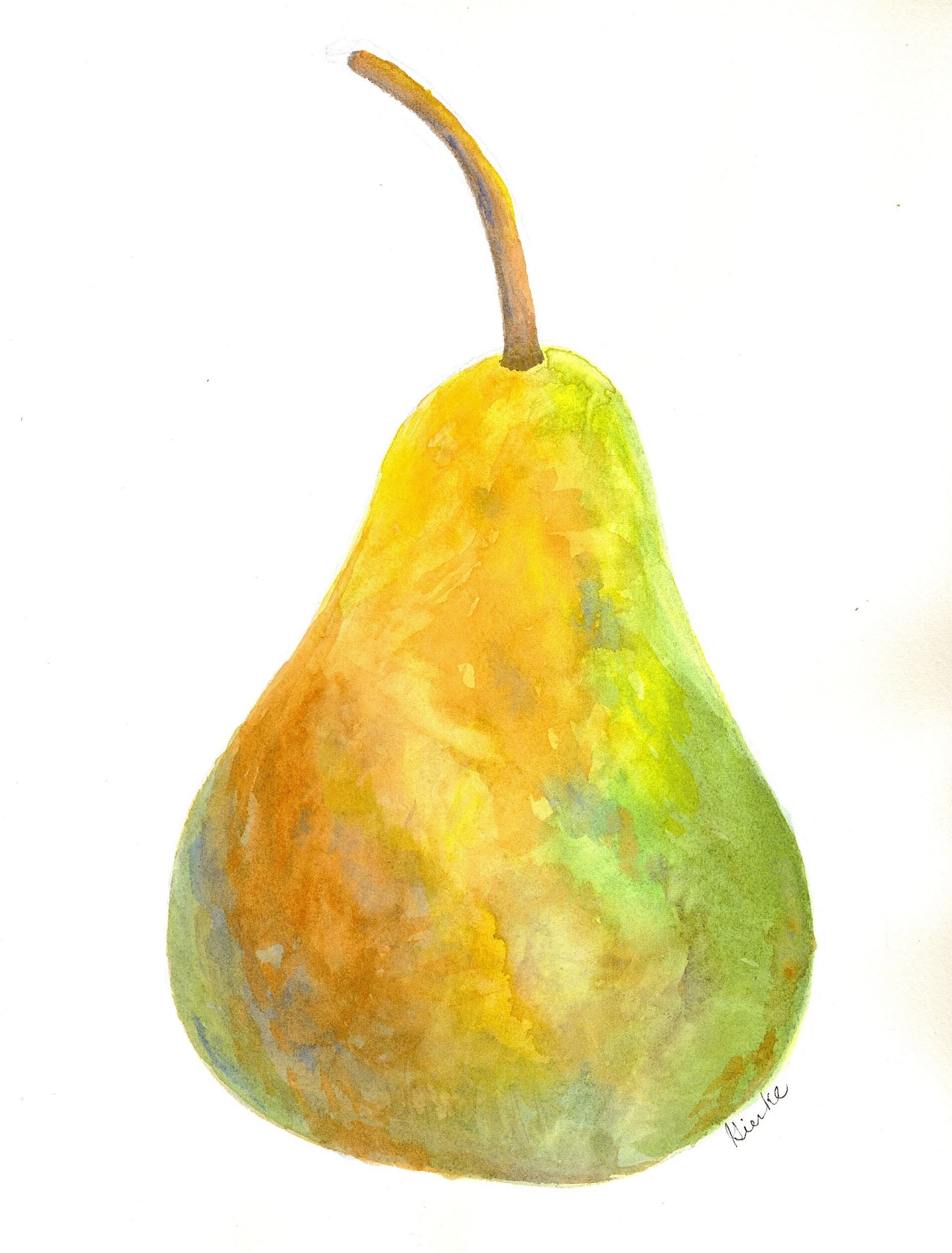 Pear / watercolor
