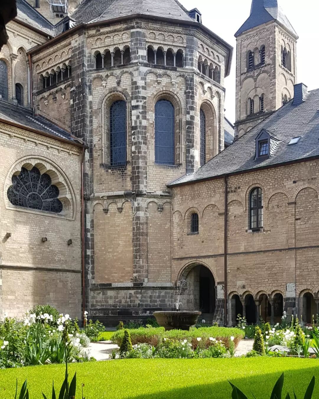 Garden of peace 🕊

I'm always on the search for green spots in Bonn where I can take a break, read a book or just disconnect from a busy day🌿

This is the garden of Bonn's Minster, situated in the heart of the city 💚 Despite its central location i