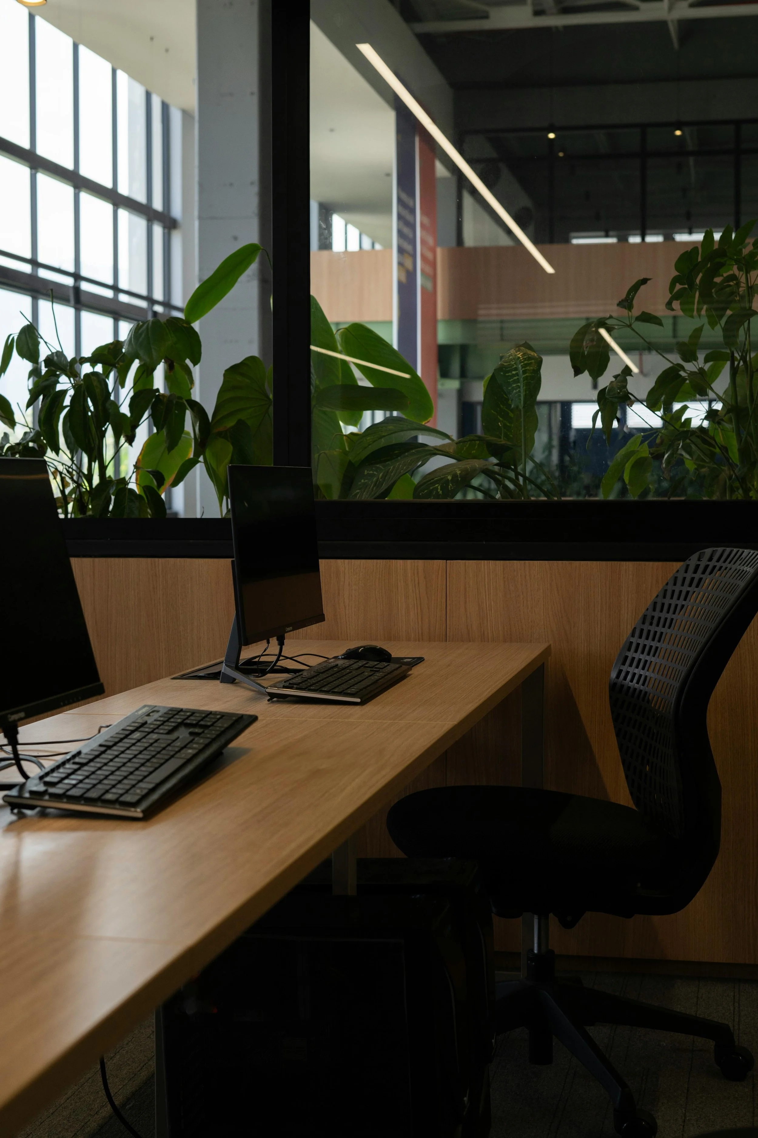 pexels-nicolas-rueda-175965148-26966417 (1).jpg