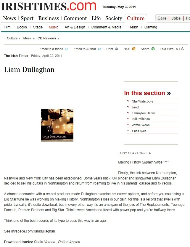 Liam Dullaghan - Irish Times
