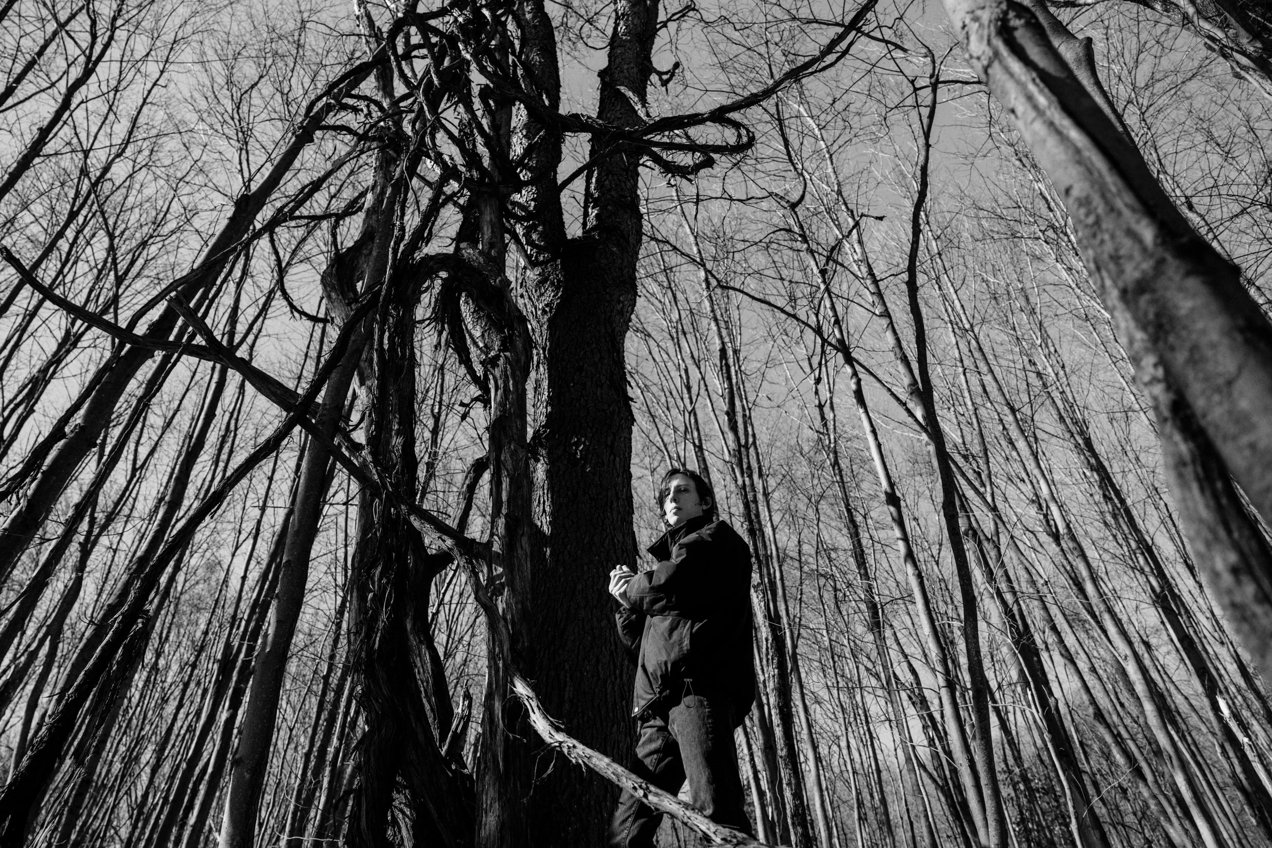 Wicca Phase Springs Eternal release new single "Moving without Movement