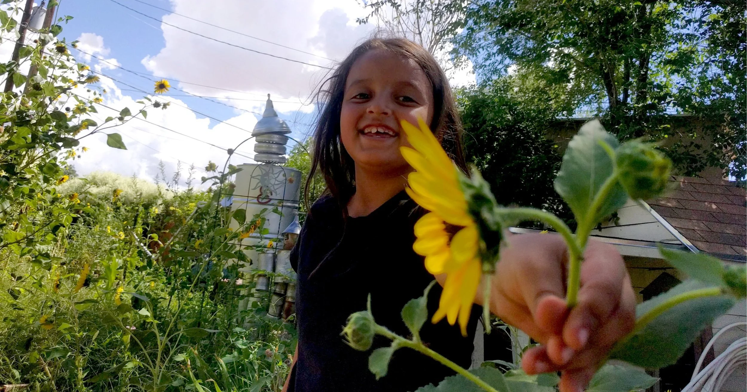 Smiling young girl grabbing sunflower in a garden.jpg