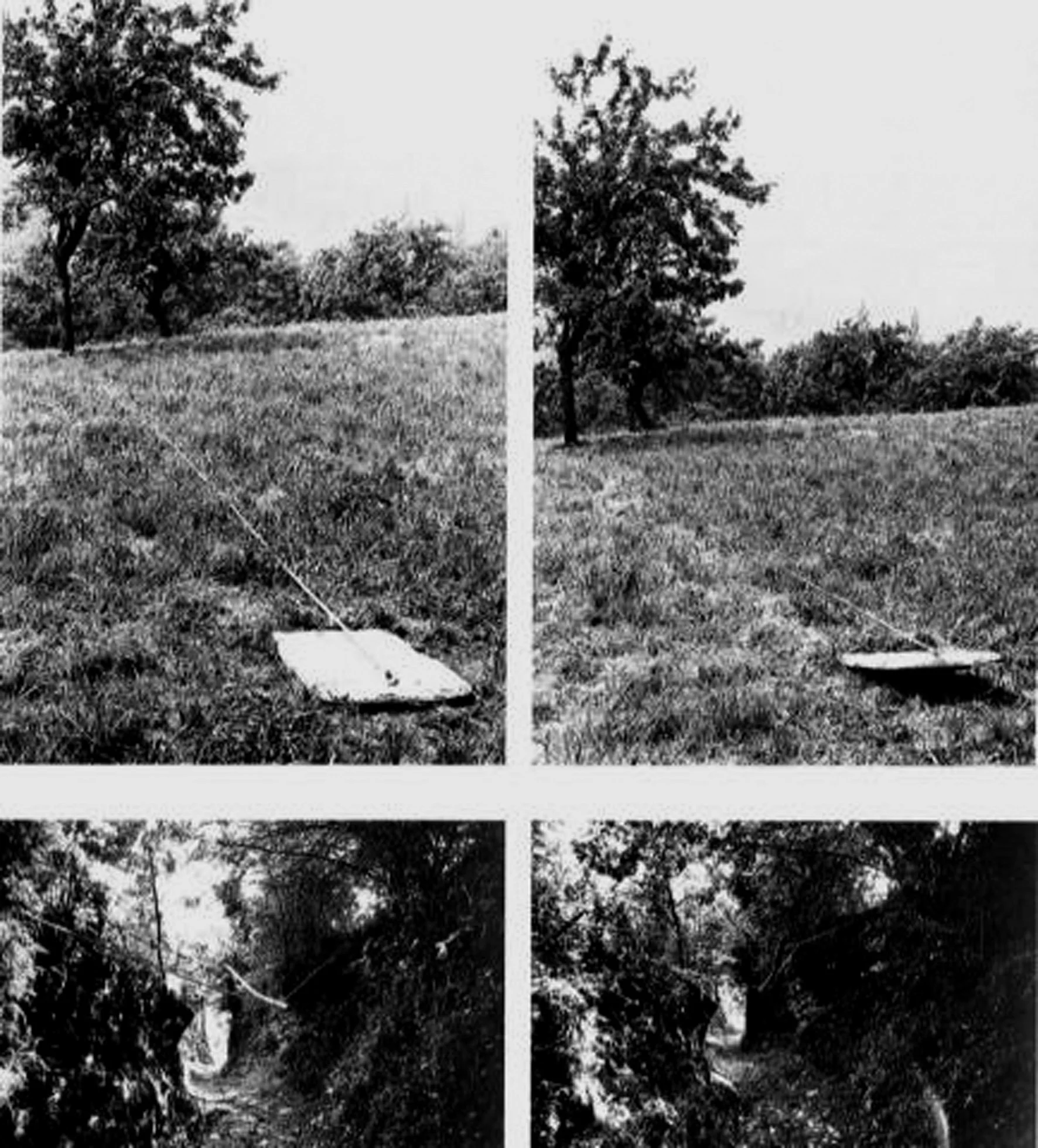 fig 3. Giuseppe Penone, 1968.jpg