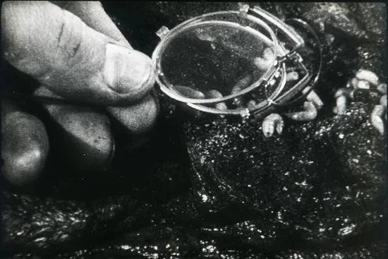 On Potential, Decay, and Abjection
