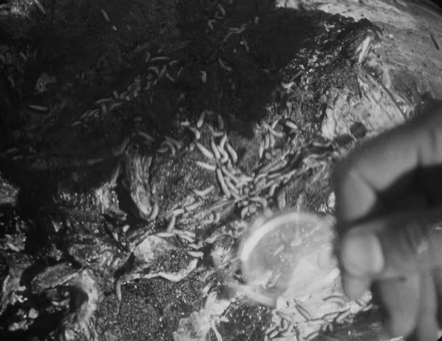On Potential, Decay, and Abjection