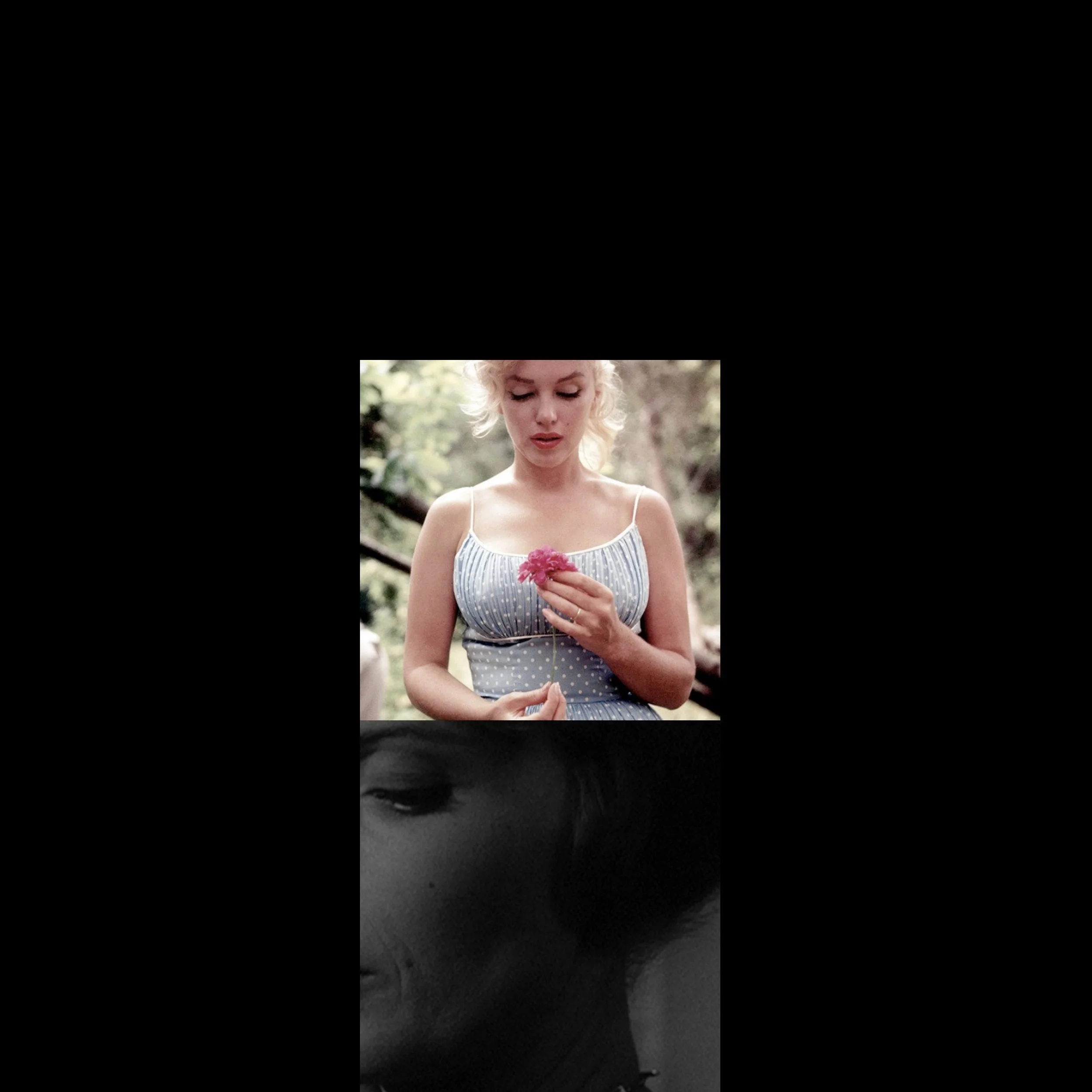 Collage 1.jpg