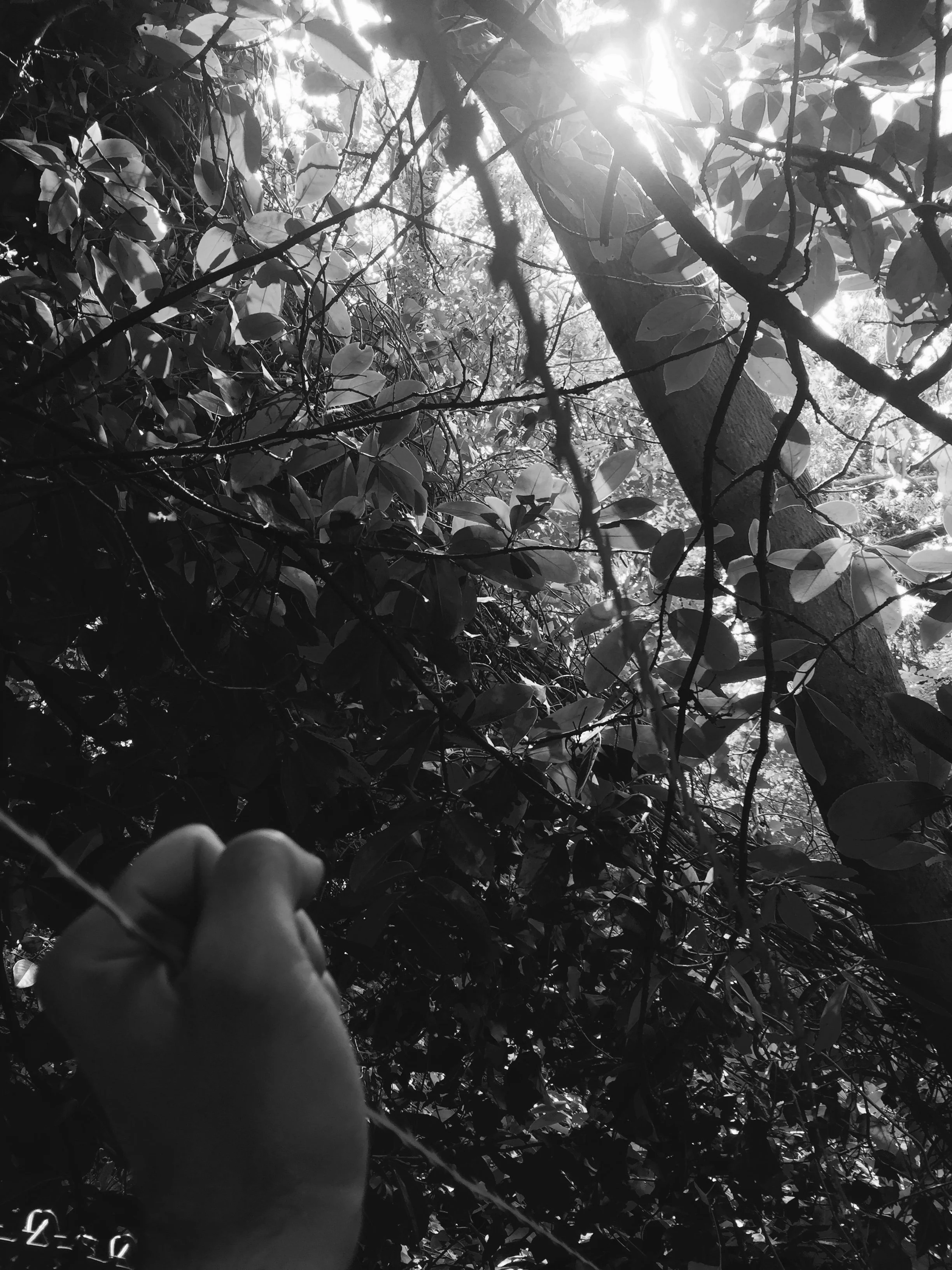 Hand and Wire.JPG