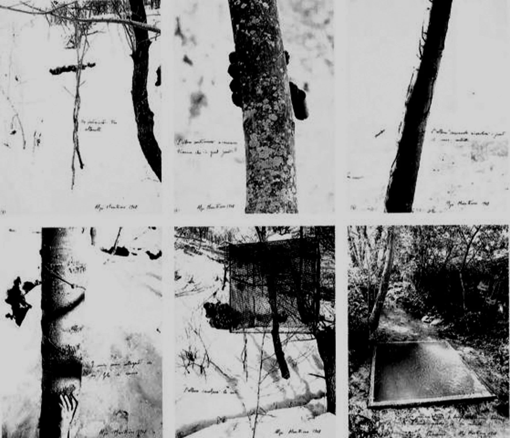 fig 4. Giuseppe Penone_Alpi Marittime (Maritime Alps), 1968.jpg