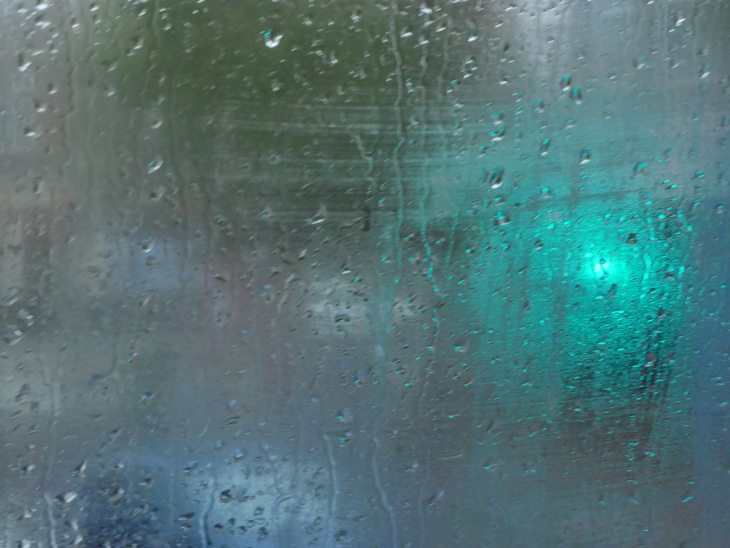 P1130436.jpg