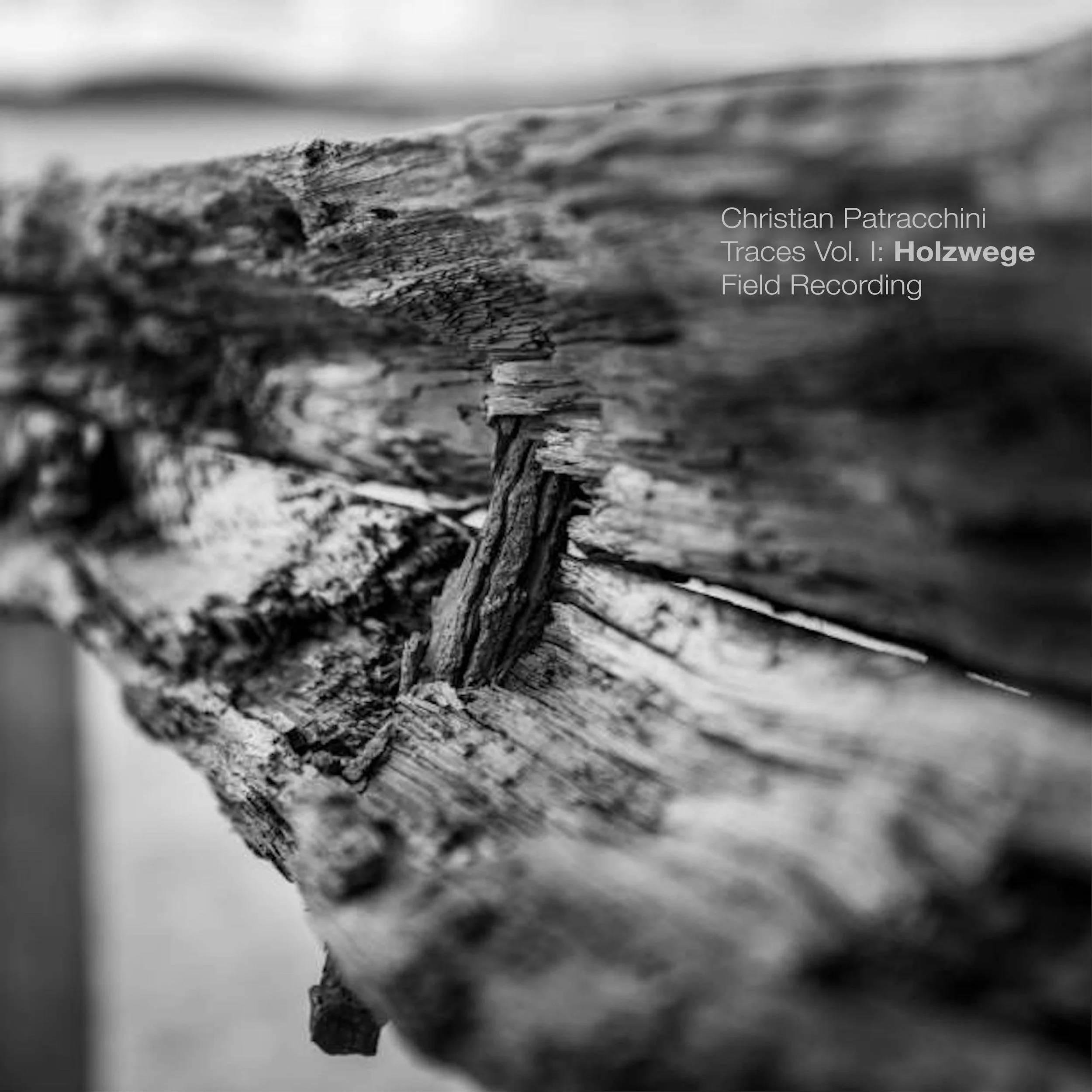 TRACES VOL. I: HOLZWEGE