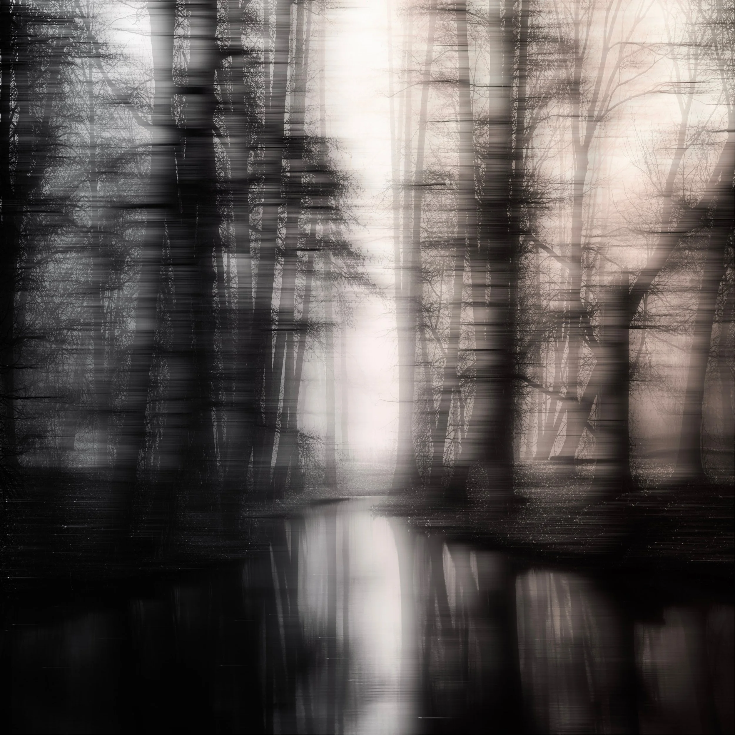 THE SIGNATURE OF THINGS .jpg