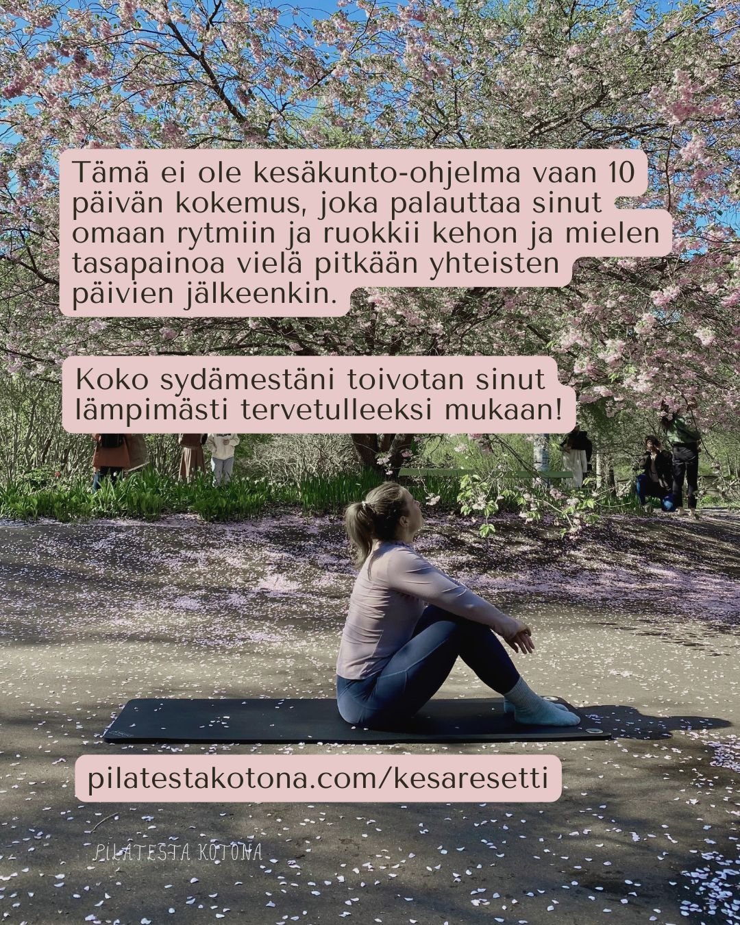 65.jpg