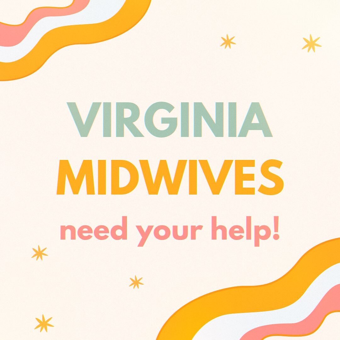 SUPPORT VIRGINIA MIDWIVES
&bull;
How many times have you wished you could show your midwife just how much you love and value them? Well here&rsquo;s a way to express your gratitude and love! By helping to pass legislation to promote autonomous midwif